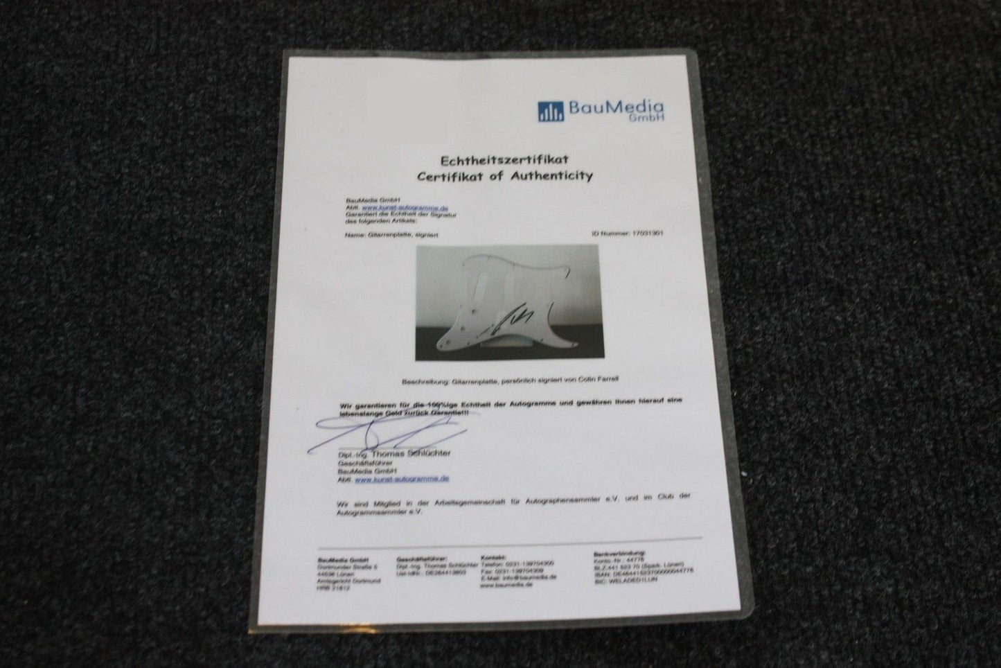 Gitarrenplatte, David Kross signiert, Film, Fernsehen, Kino, Autogramm, Sammeln