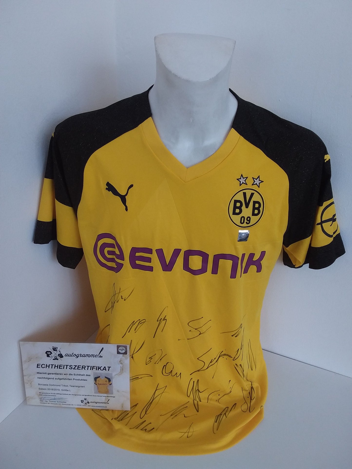 BVB Trikot 2018/2019 team signed Borussia Dortmund Autogram Coa Puma L