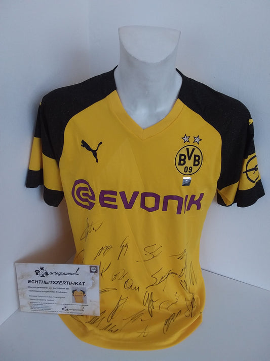 BVB Trikot 2018/2019 Teamsigniert Borussia Dortmund Autogramm COA Puma L