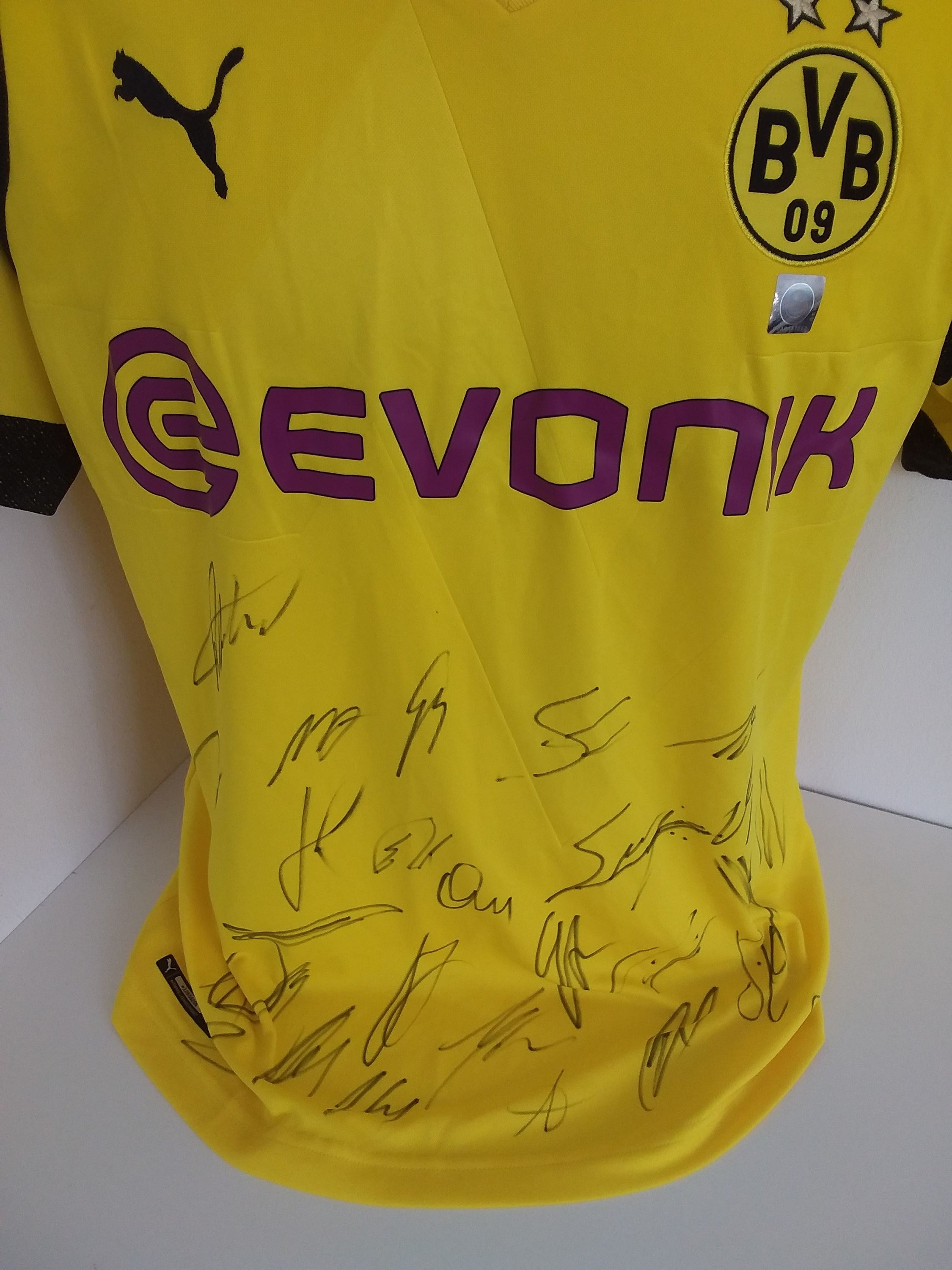 BVB Trikot 2018/2019 team signed Borussia Dortmund Autogram Coa Puma L