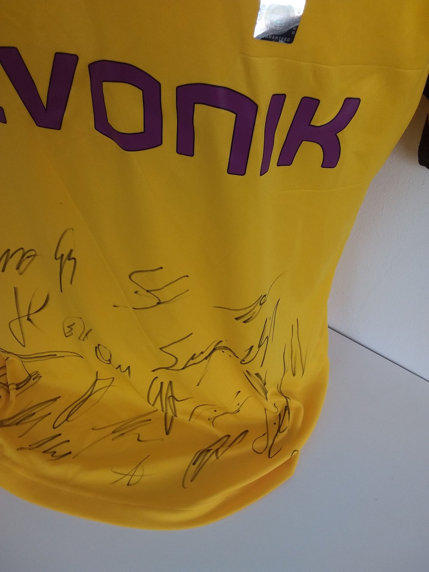 BVB Trikot 2018/2019 team signed Borussia Dortmund Autogram Coa Puma L