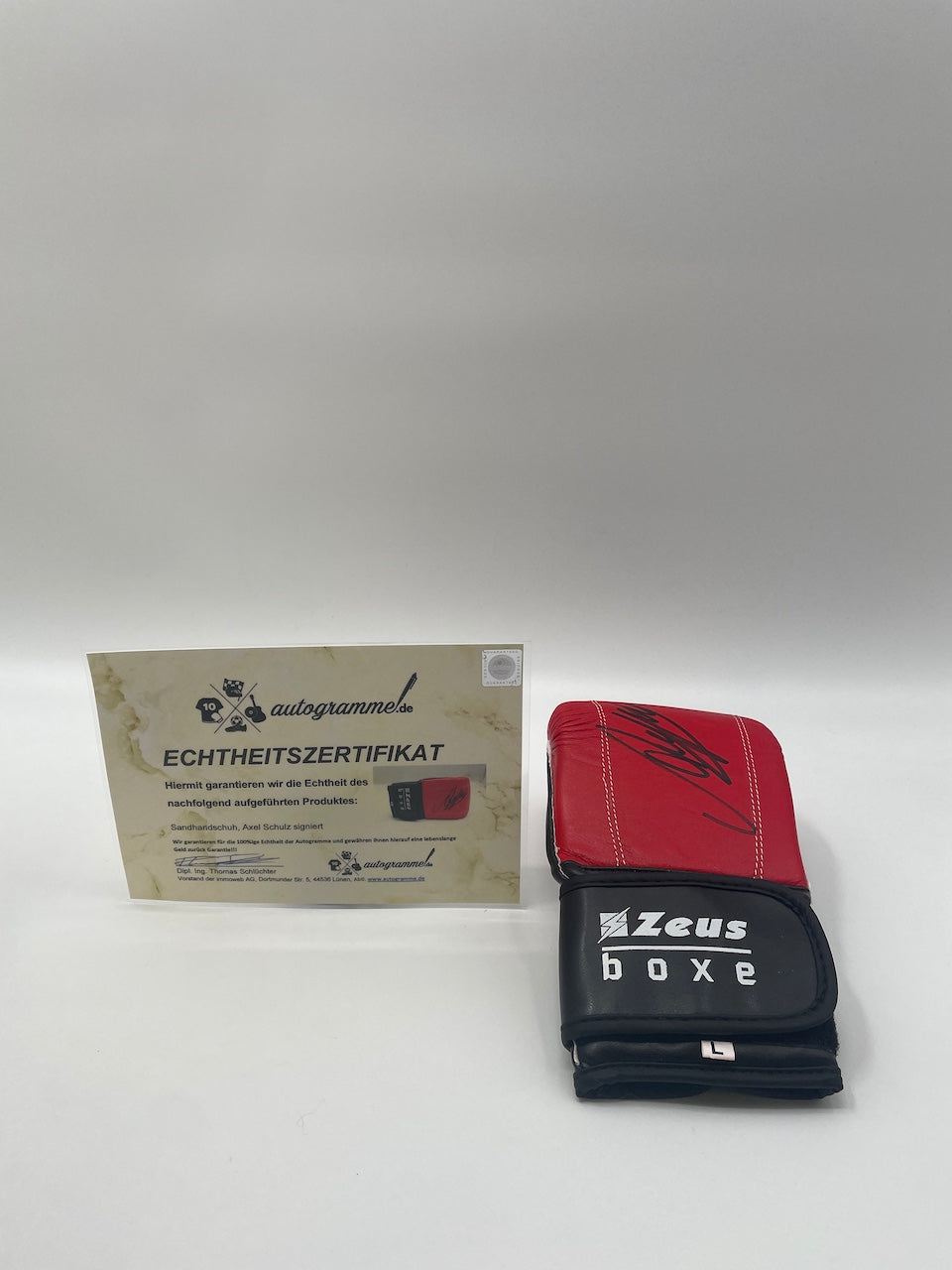 Sandsackhandschuh Axel Schulz signiert Autogramm Unterschrift Boxen Neu