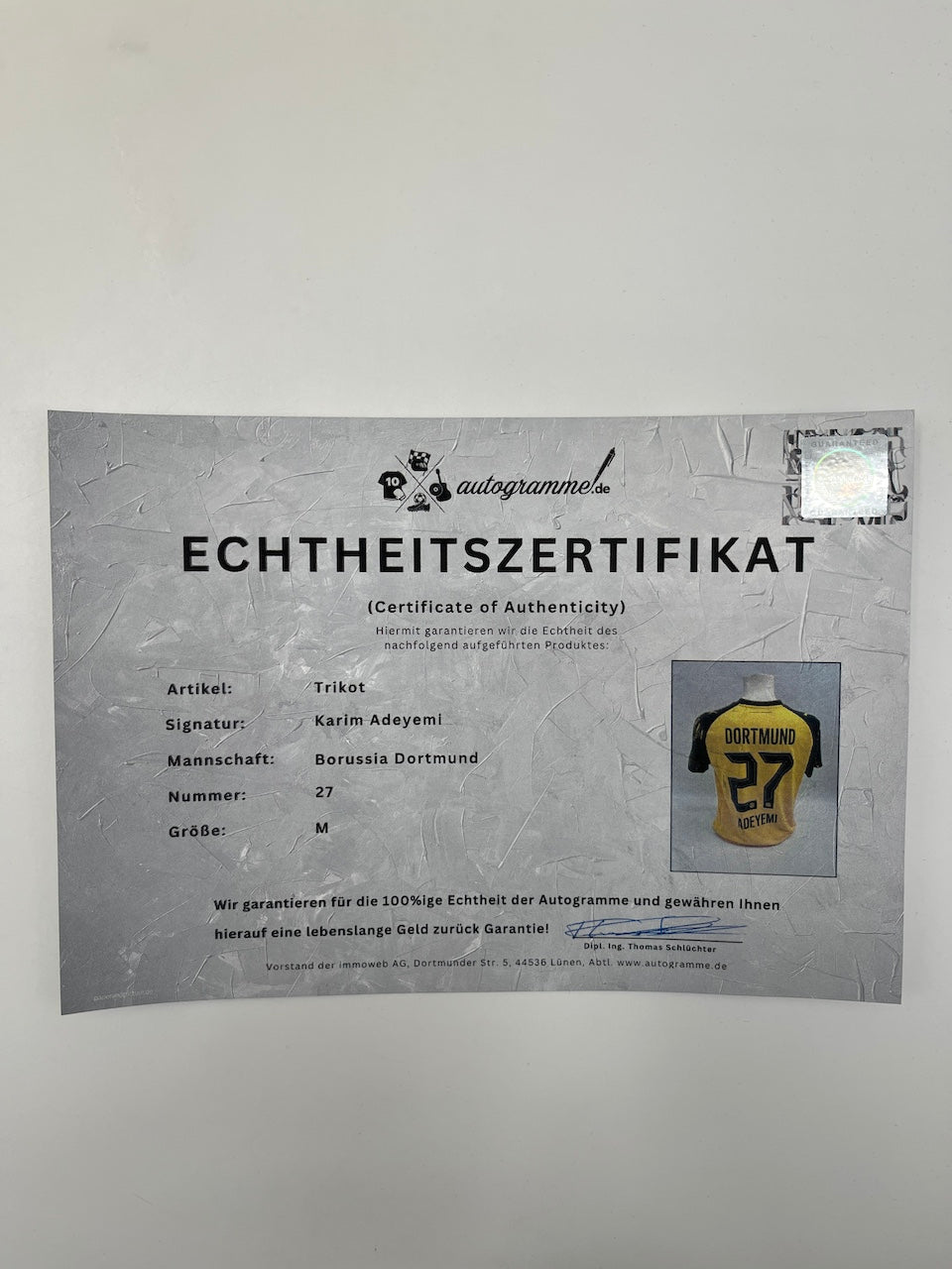 Borussia Dortmund Trikot Karim Adeyemi signiert BVB Puma M