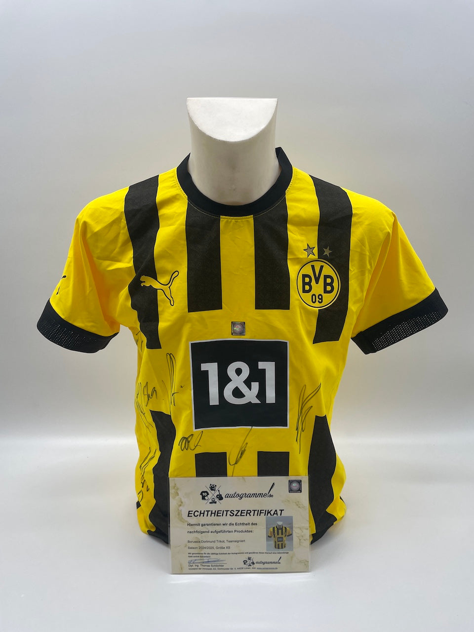 BVB Authentic Trikot 2022 2023 Teamsigniert Borussia Dortmund COA Puma Neu XS