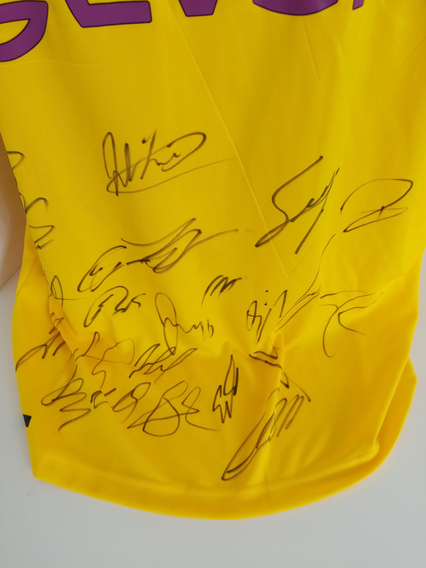 BVB Trikot 18/19 Teamsigniert Borussia Dortmund Autogramm Unterschrift Puma XL