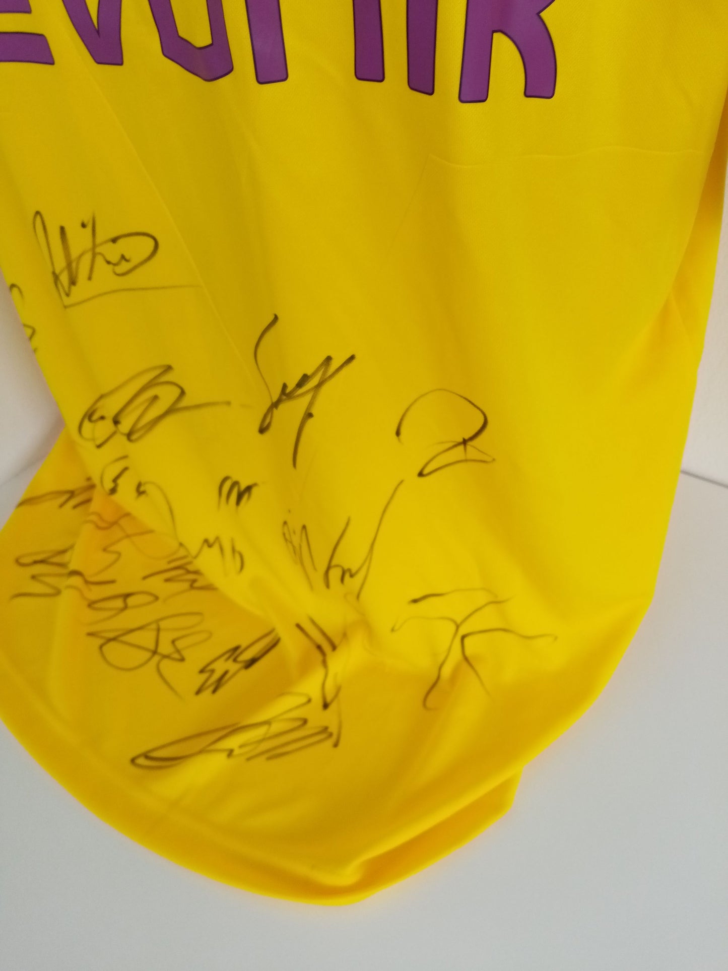 BVB Trikot 18/19 Teamsigniert Borussia Dortmund Autogramm Unterschrift Puma XL