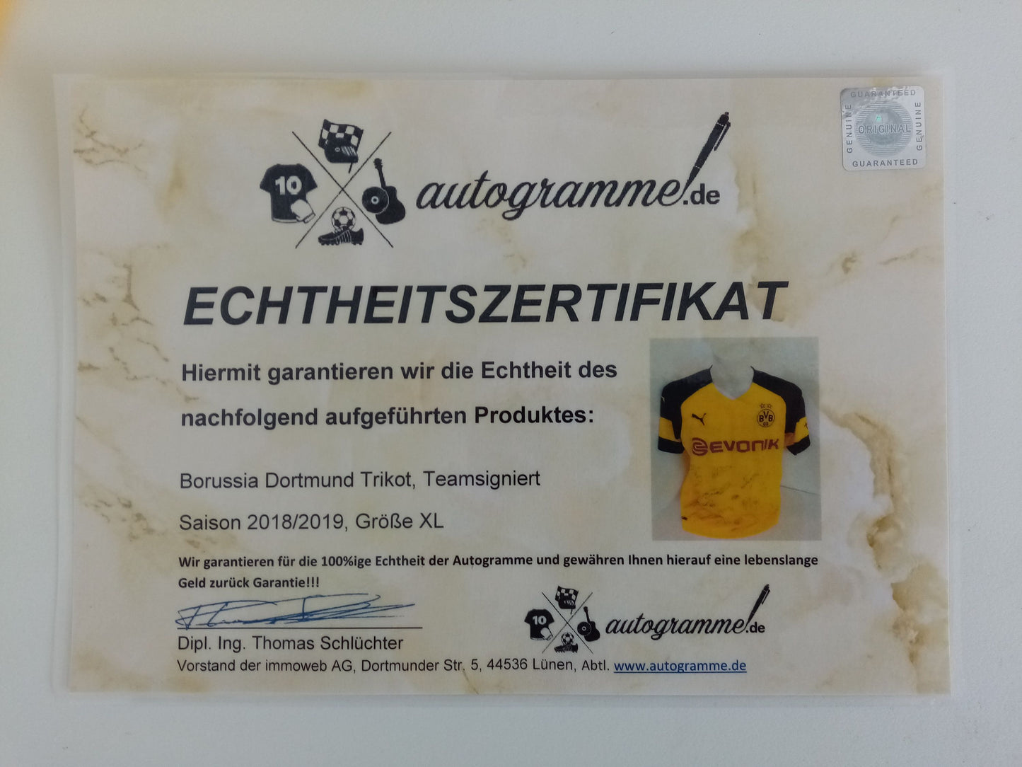 BVB Trikot 18/19 Teamsigniert Borussia Dortmund Autogramm Unterschrift Puma XL