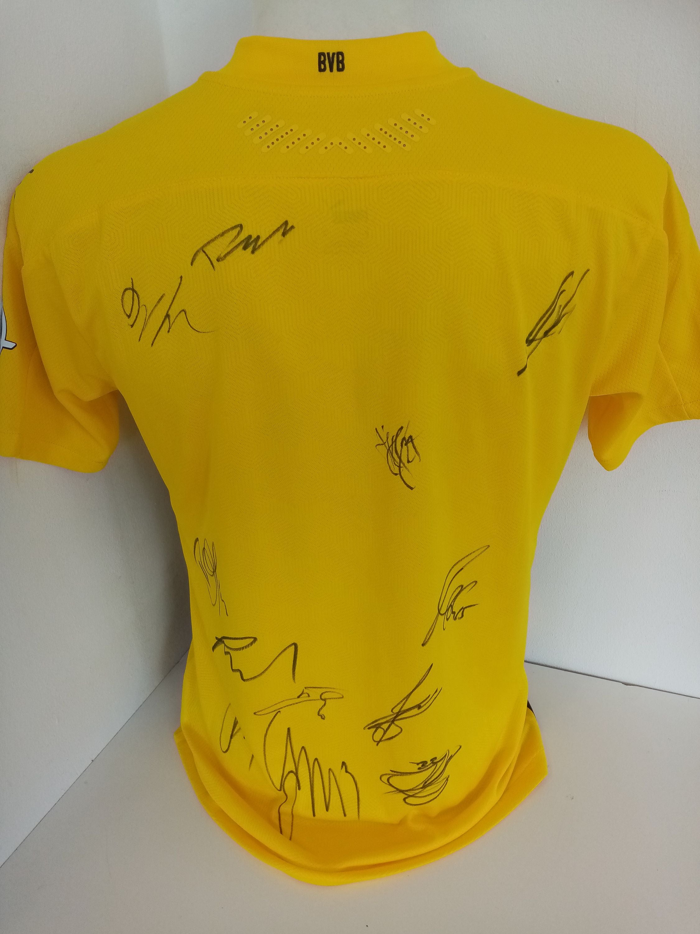 BVB Authentic Trikot 2020/2021 team signed Borussia Dortmund Coa Puma M