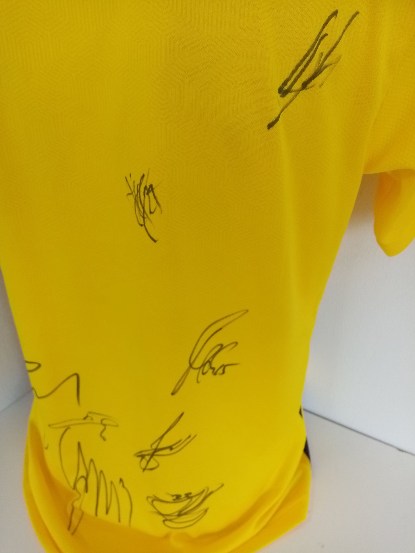 BVB Authentic Trikot 2020/2021 Teamsigniert Borussia Dortmund COA Puma M