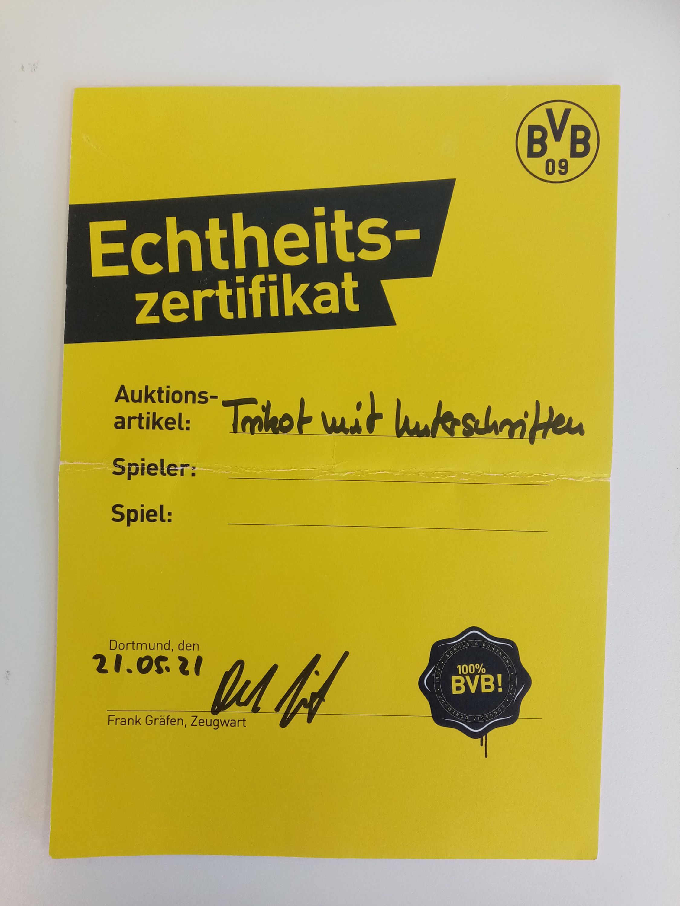 BVB Authentic Trikot 2020/2021 Teamsigniert Borussia Dortmund COA Puma M