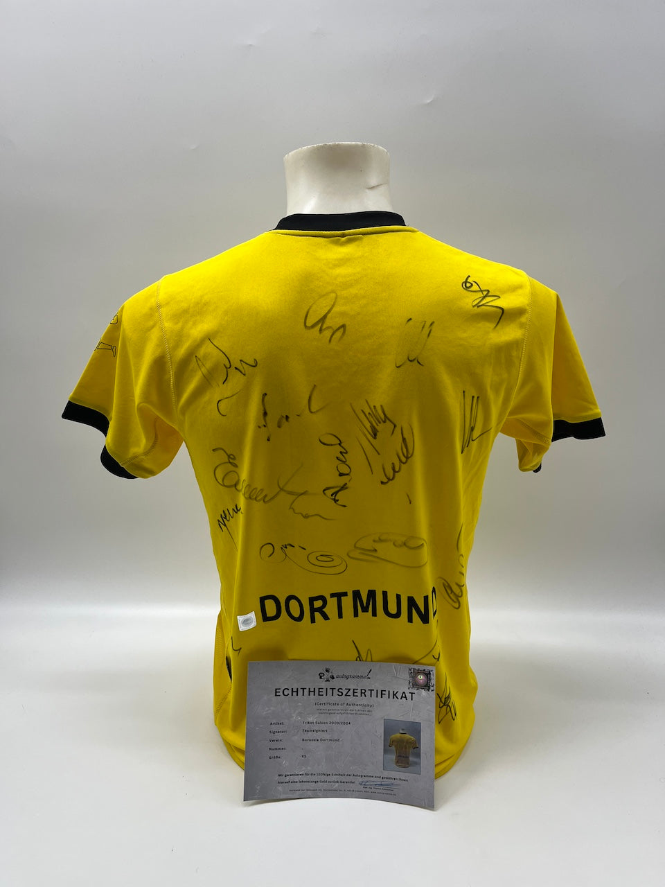 BVB Trikot 2003/2004 Teamsigniert Borussia Dortmund Goool XS
