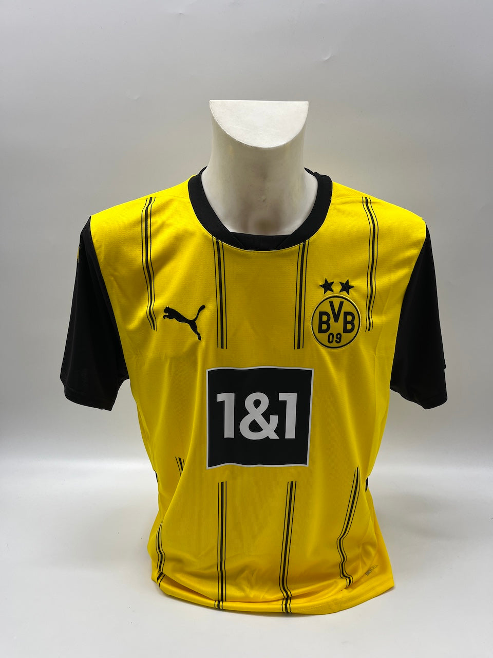 Borussia Dortmund Trikot signiert Julian Brandt BVB Puma Autogramm L