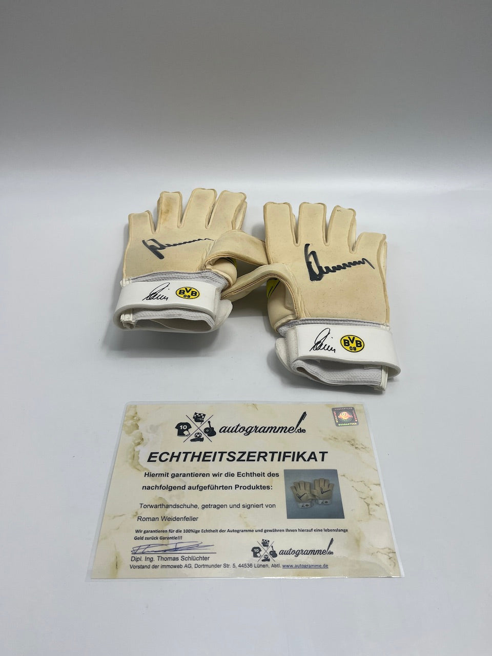 borussia dortmund handschuhe Matchworn Torwart Handschuhe Roman Weidenfeller Borussia Dortmund BVB Puma