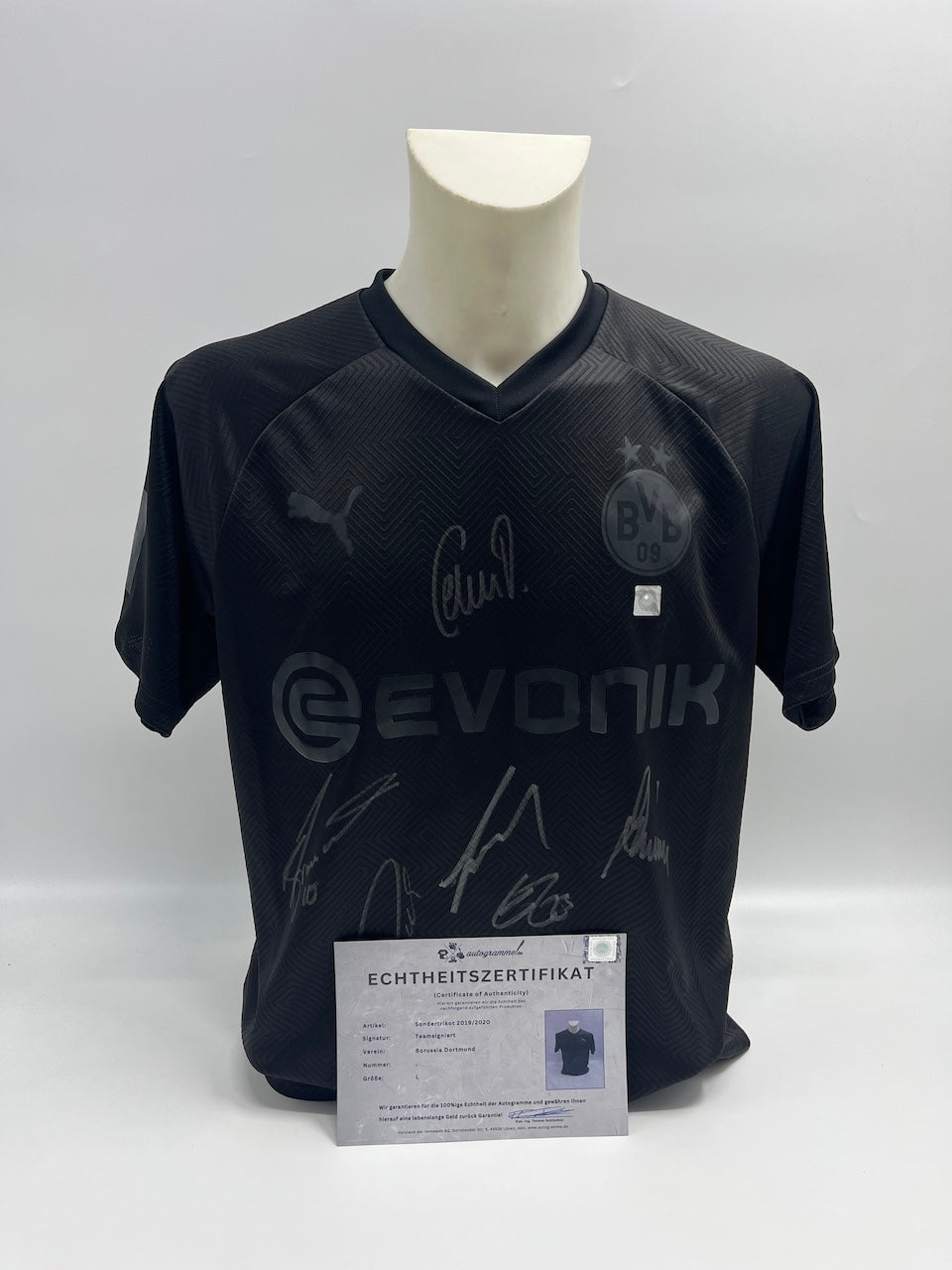 BVB Sondertrikot 2019/2020 Teamsigniert Borussia Dortmund COA Puma L
