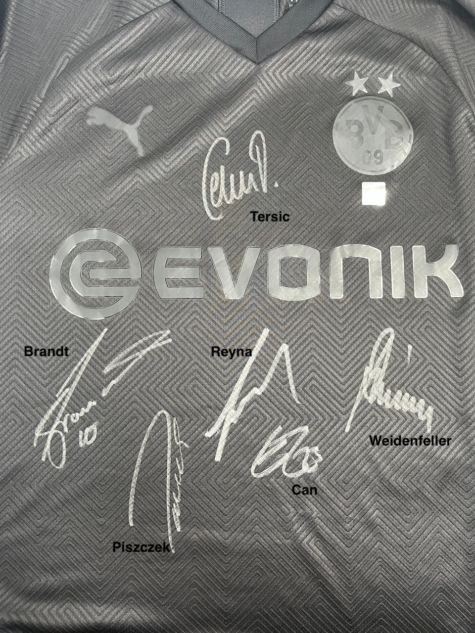 BVB Sondertrikot 2019/2020 Teamsigniert Borussia Dortmund COA Puma L
