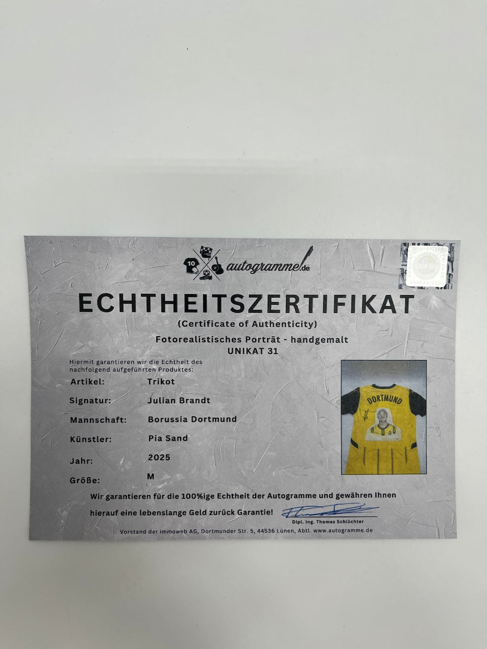 Borussia Dortmund Trikot Portrait Julian Brandt handgemalt und signiert Puma M