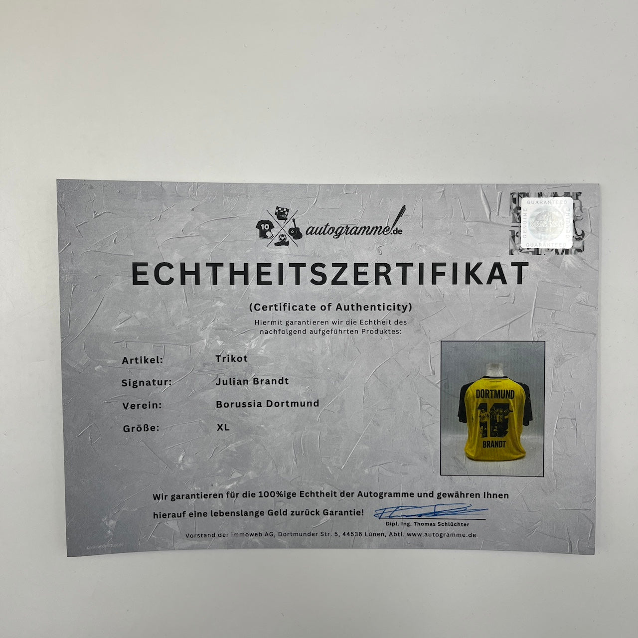 Borussia Dortmund Trikot signiert Julian Brandt BVB Puma Autogramm XL