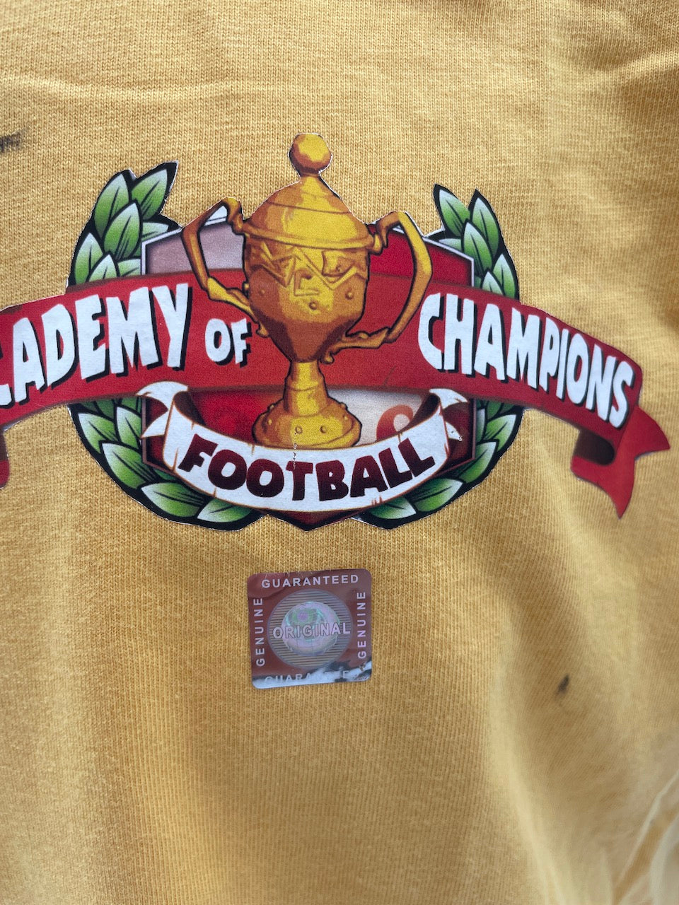 Academy of Champions Shirt Pele Signed New Signature autograph COA L