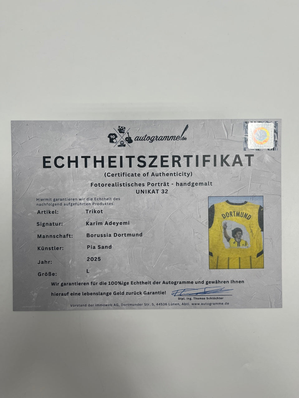 Borussia Dortmund Trikot Portrait Karim Adeyemi handgemalt und signiert Puma L