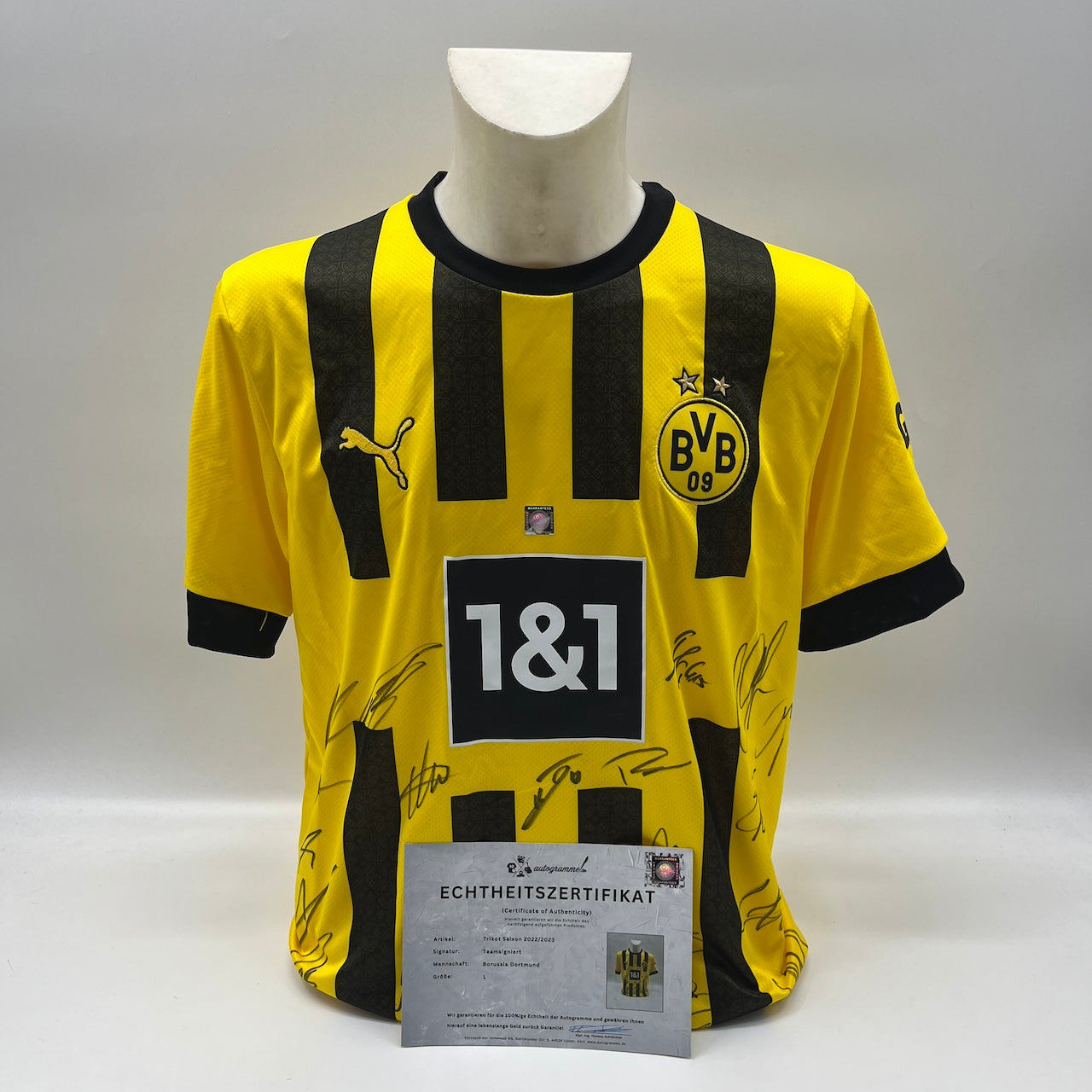 BVB Trikot 2022/2023 Teamsigniert Borussia Dortmund COA Puma Bellingham L