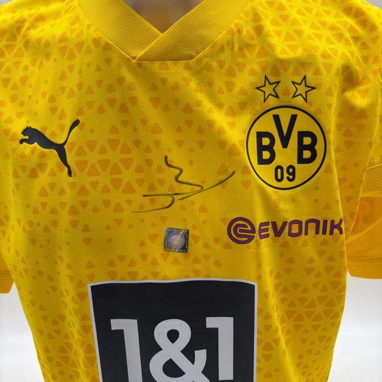 Borussia Dortmund Trainingsshirt Alexander Meyer signiert Puma COA Autogramm L