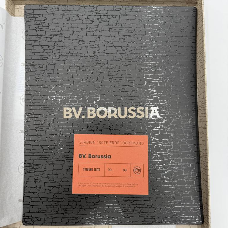 Borussia Dortmund Sondertrikot Maximilian Beier signiert BVB Puma neu L