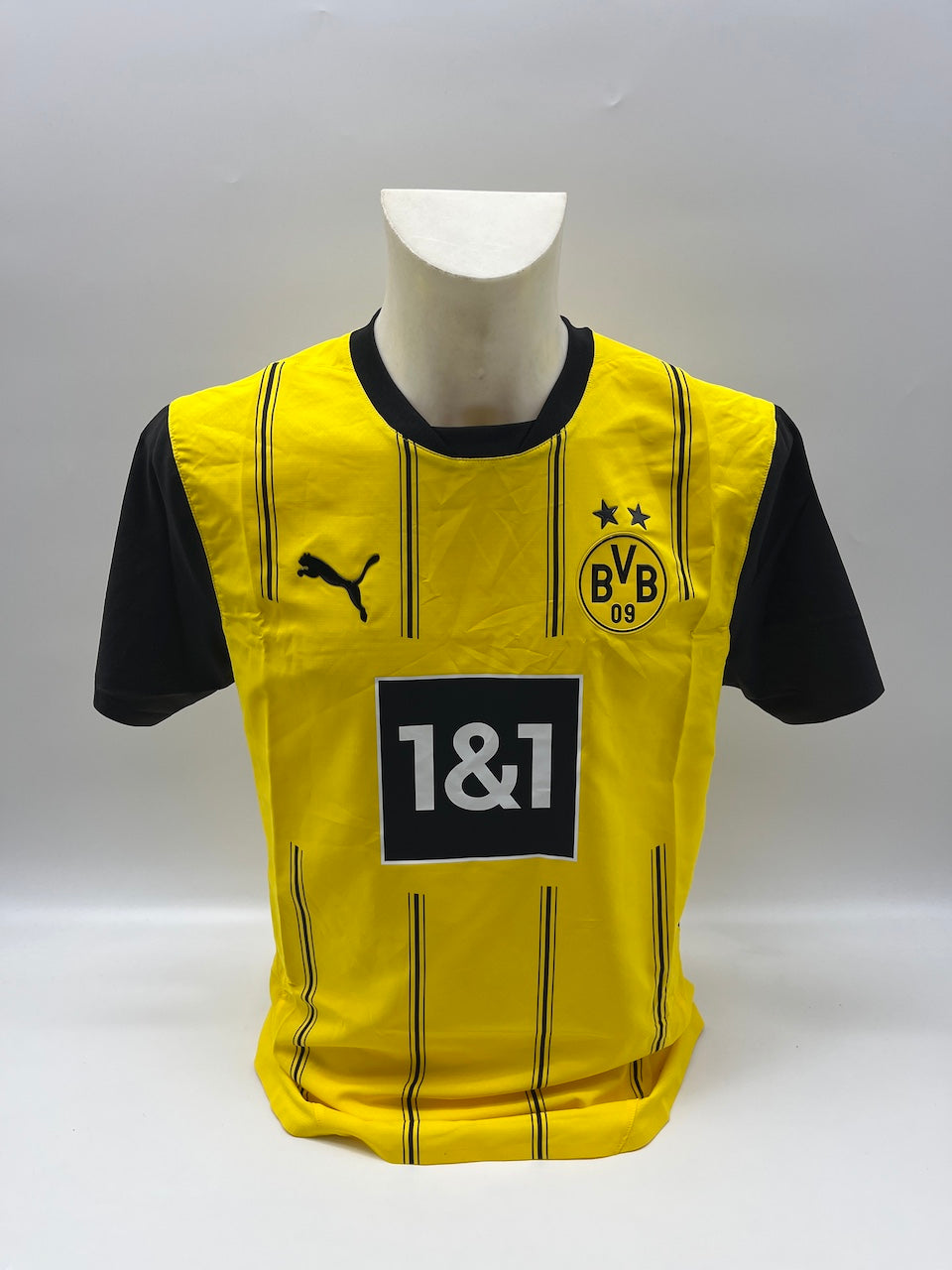 Borussia Dortmund Authentic Jersey Maximilian Beier signed BVB Puma M