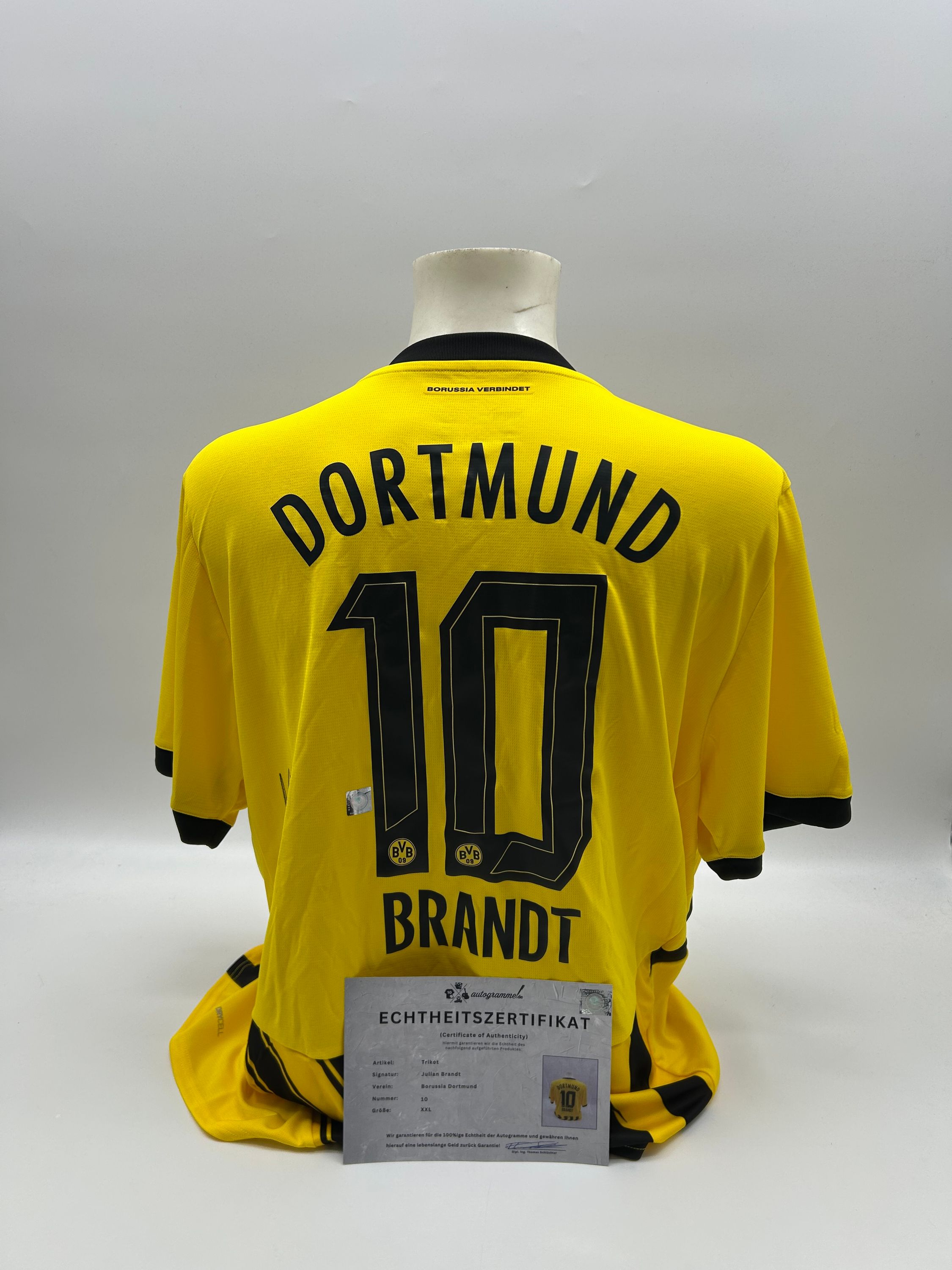 Borussia Dortmund Trikot signiert Julian Brandt BVB Puma Autogramm XXL