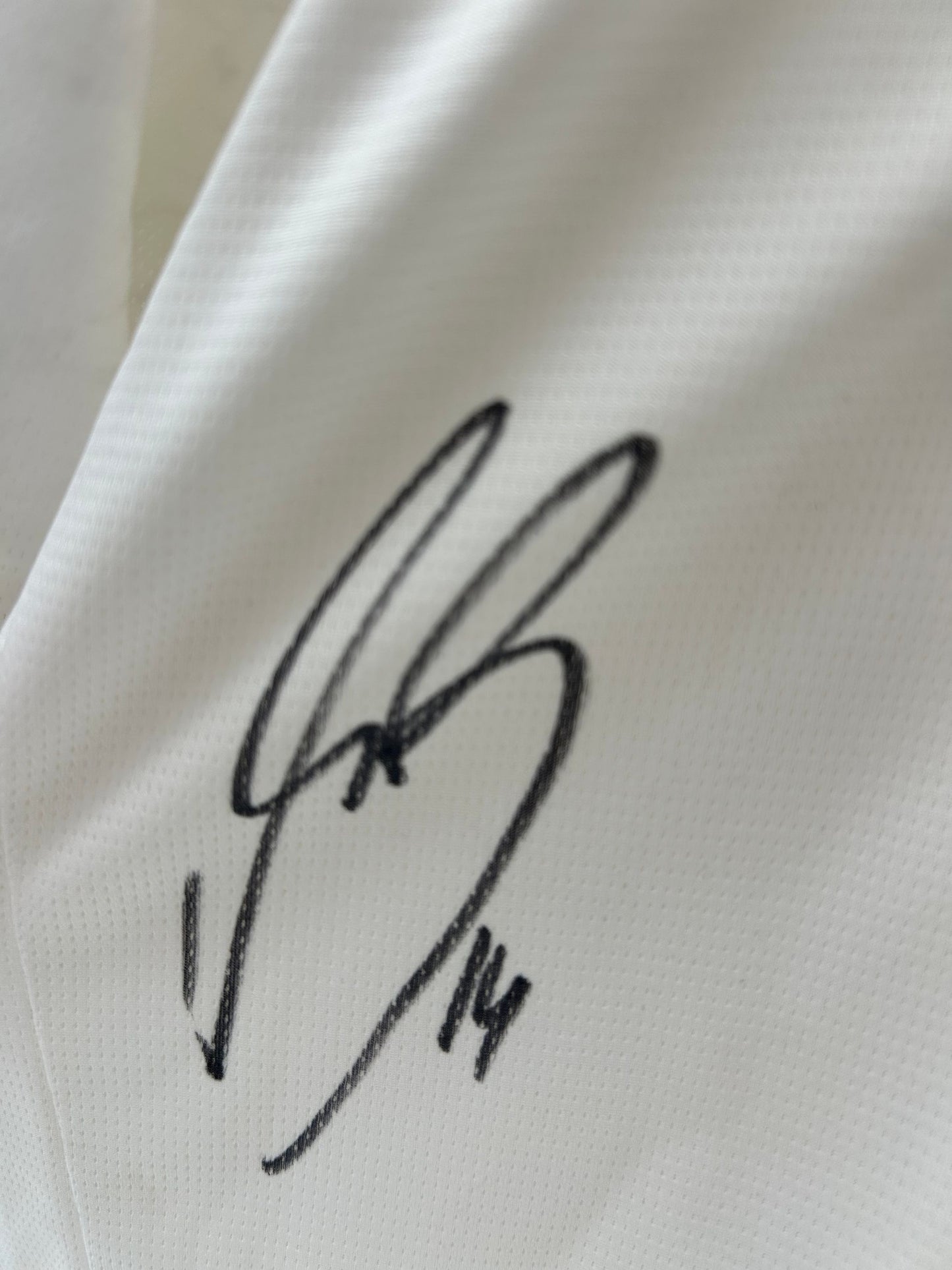 Borussia Dortmund Trikot Maximilian Beier signiert BVB Puma L
