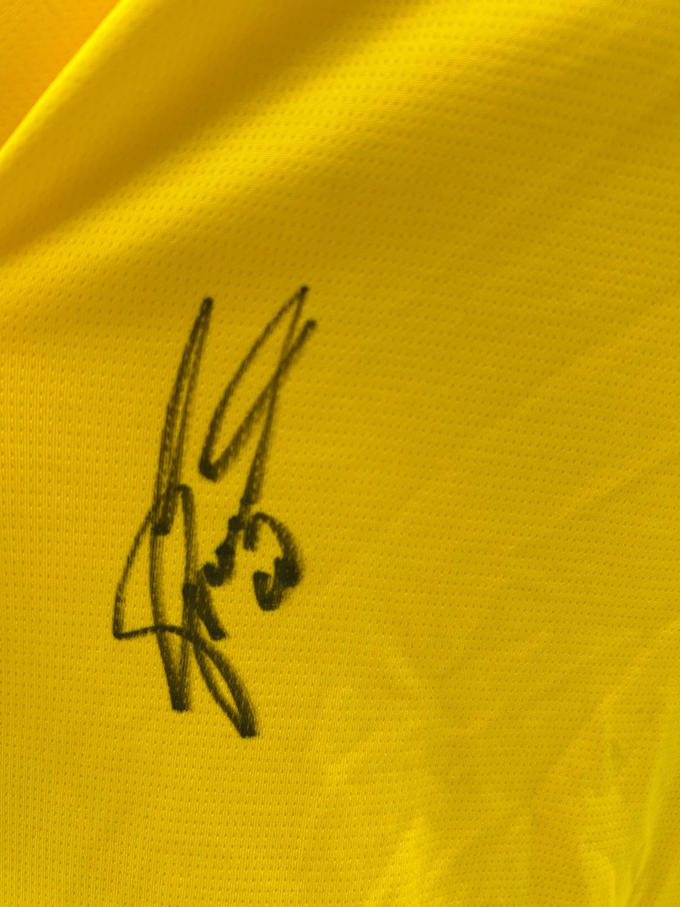 Borussia Dortmund Trikot signiert Julian Brandt BVB Puma Autogramm XXL