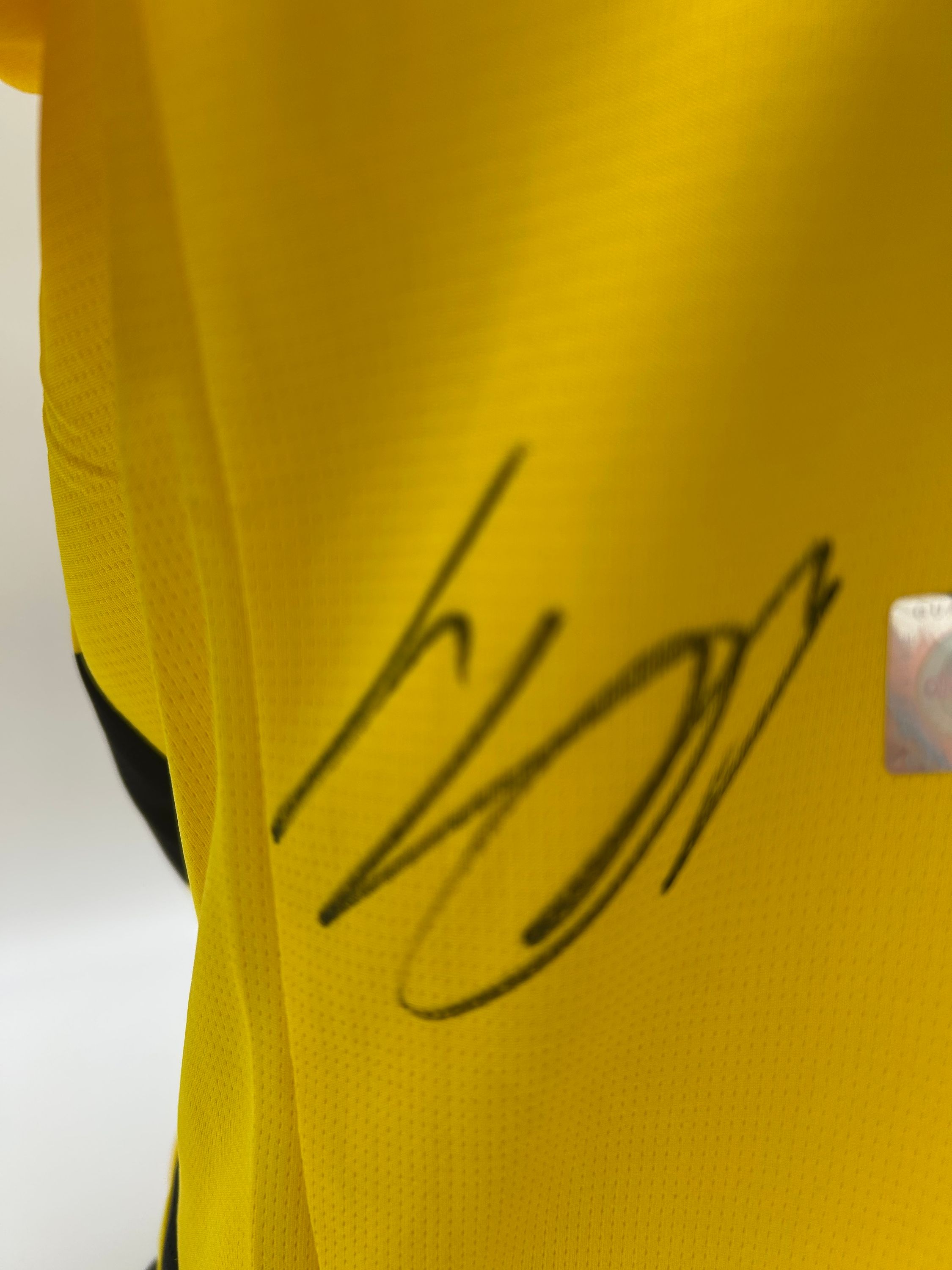 Borussia Dortmund jersey signed by Gregor Kobel, autographed BVB Puma M