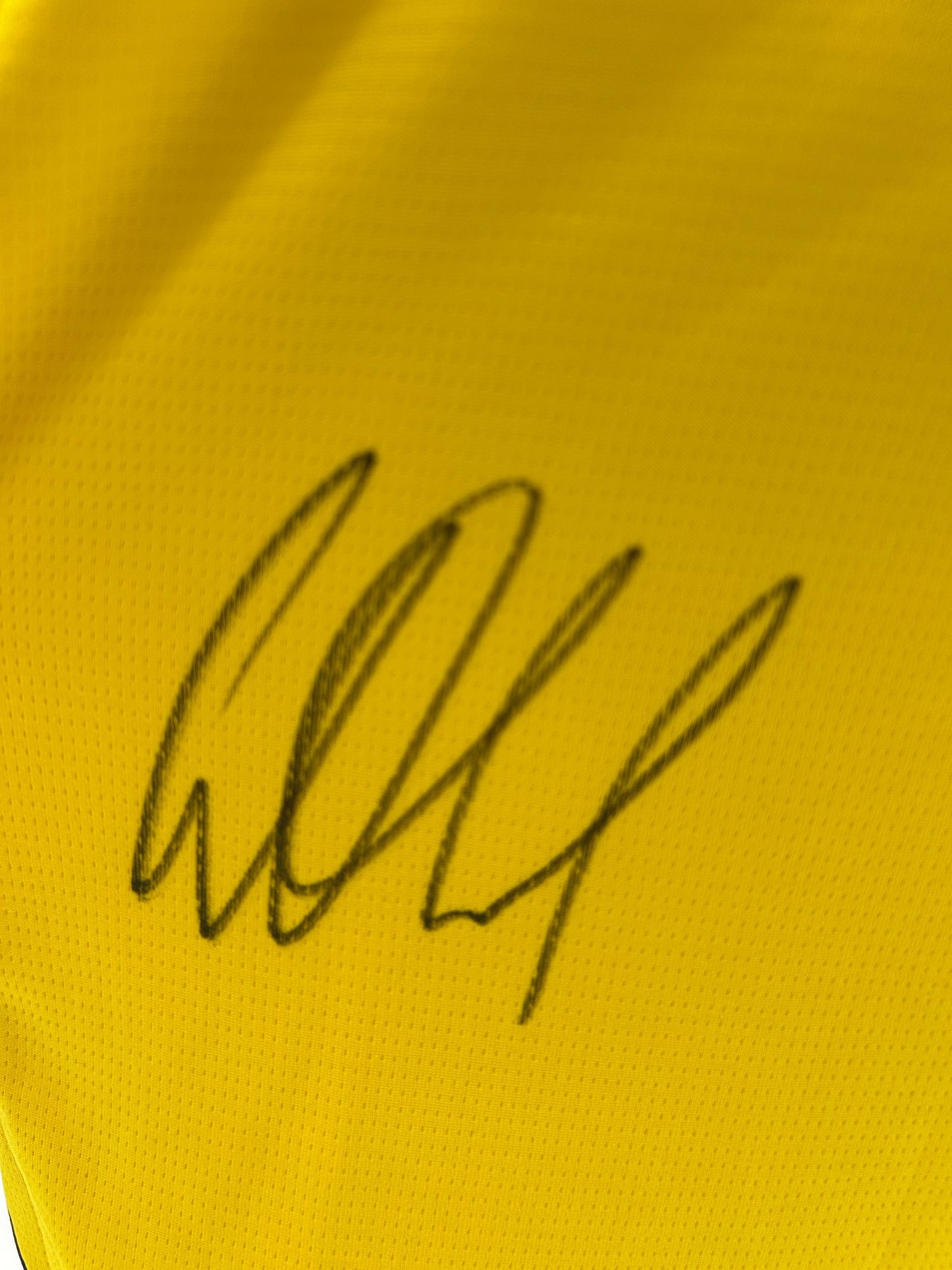 Borussia Dortmund Trikot signiert Gregor Kobel BVB Autogramm Puma M