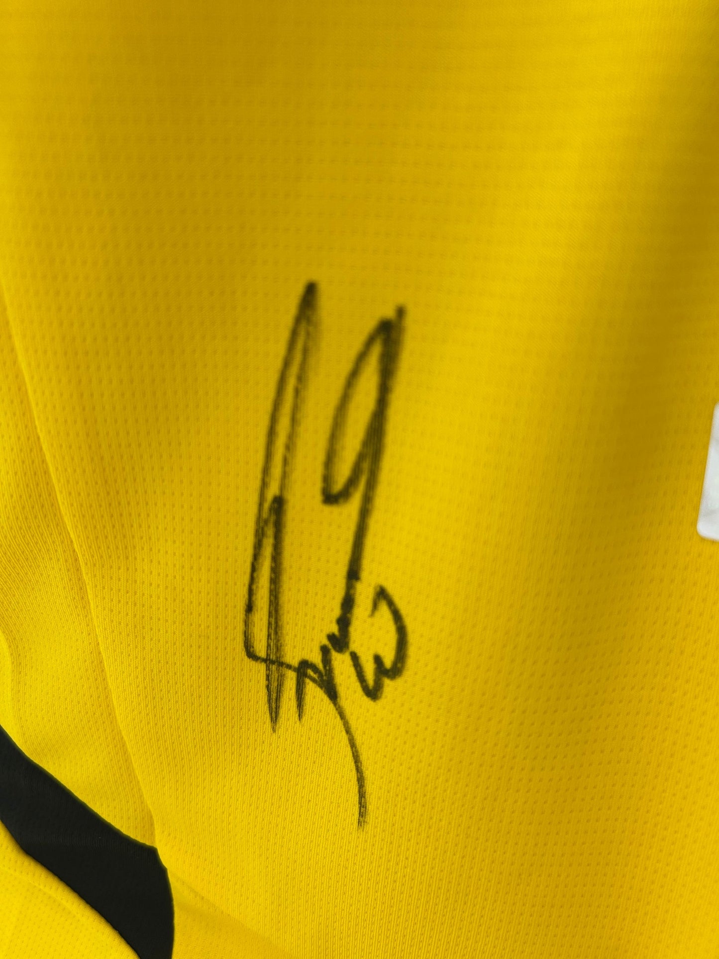 Borussia Dortmund Trikot signiert Julian Brandt BVB Puma Autogramm M