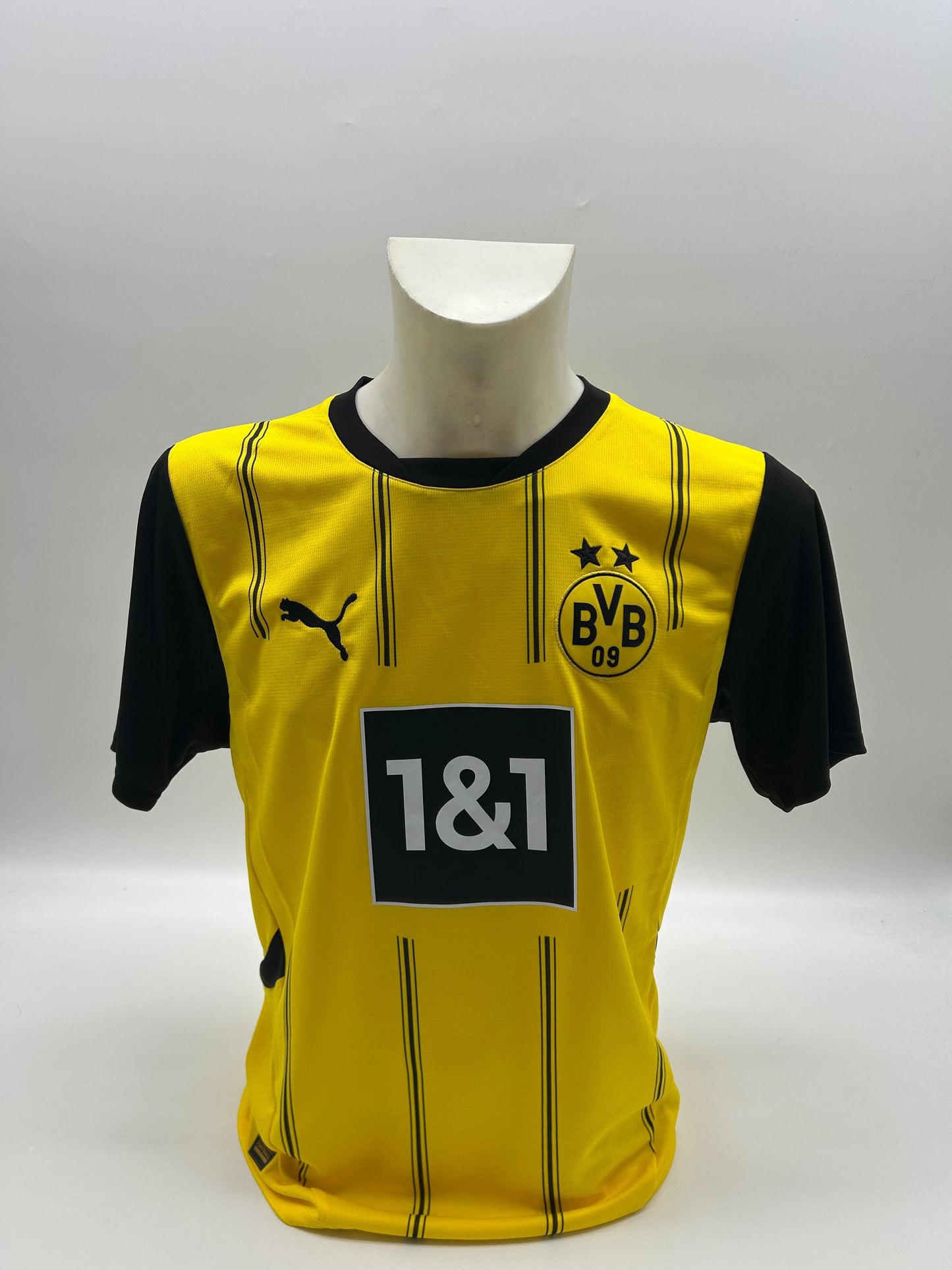 Borussia Dortmund Trikot signiert Julian Brandt BVB Puma Autogramm M