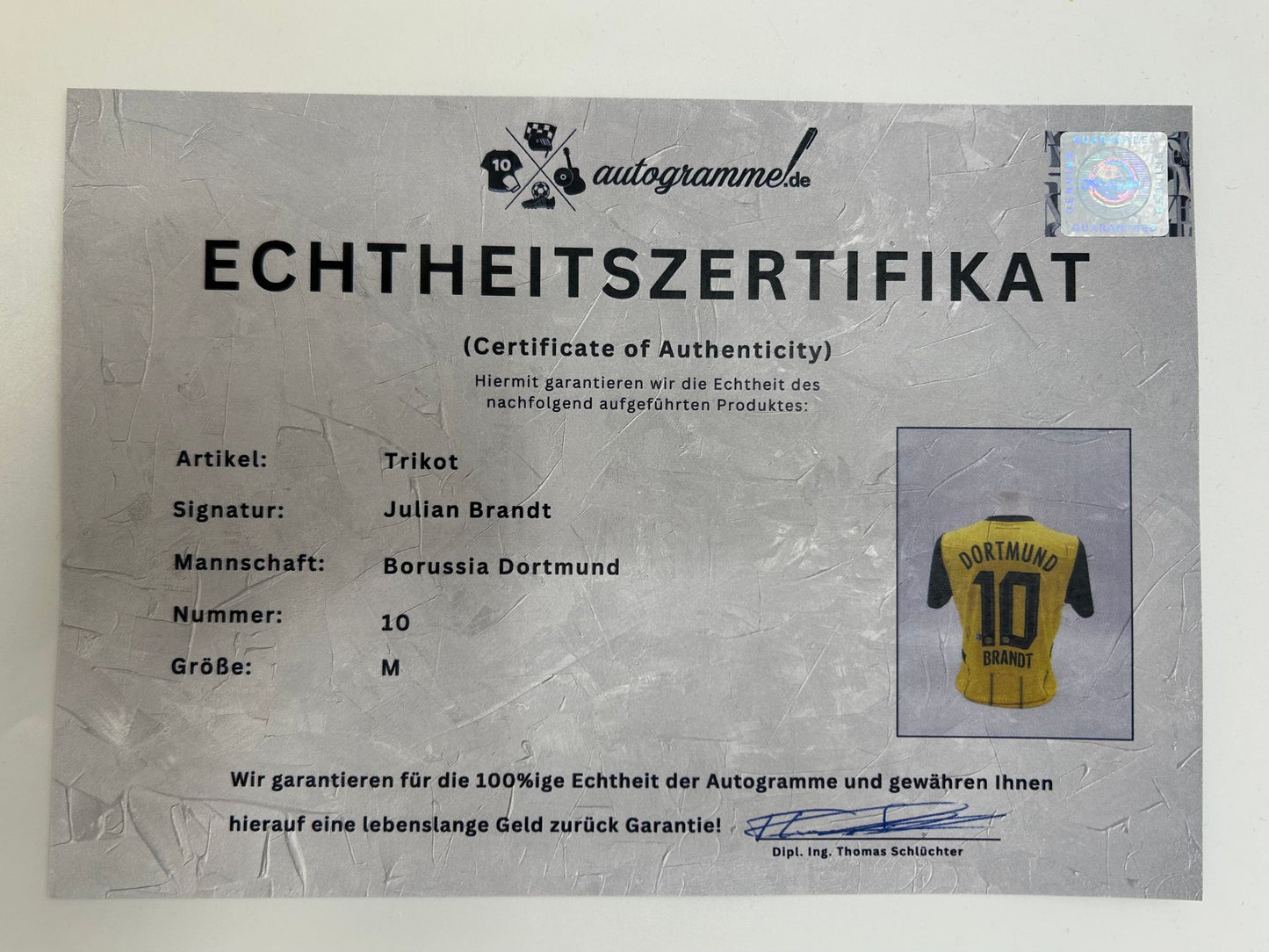 Borussia Dortmund Trikot signiert Julian Brandt BVB Puma Autogramm M