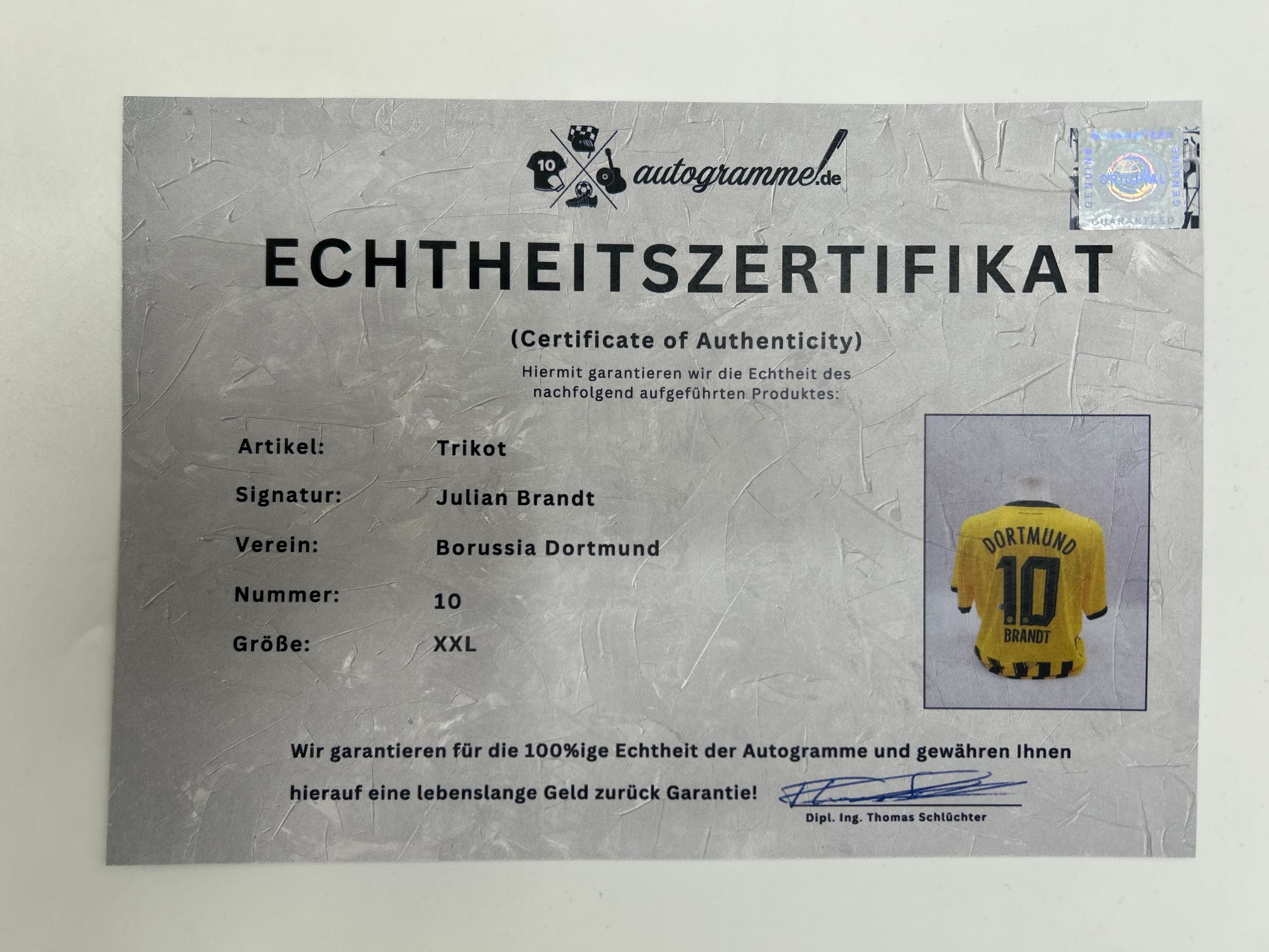 Borussia Dortmund Trikot signiert Julian Brandt BVB Puma Autogramm XXL