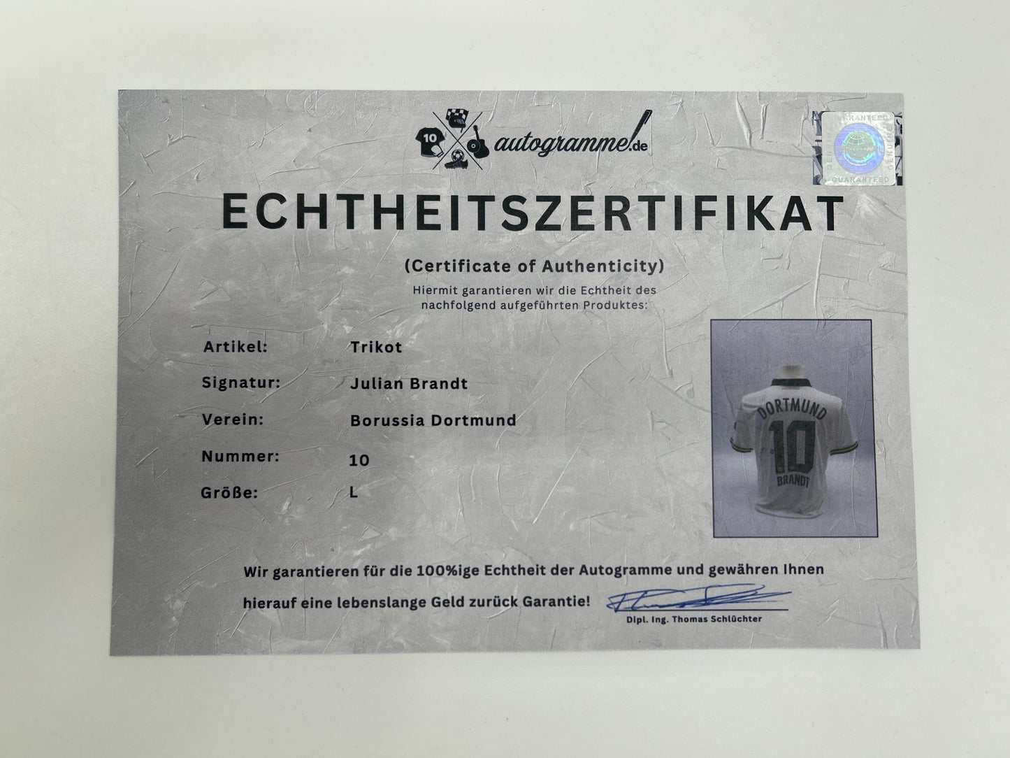 Borussia Dortmund Trikot signiert Julian Brandt Autogramm BVB Puma L