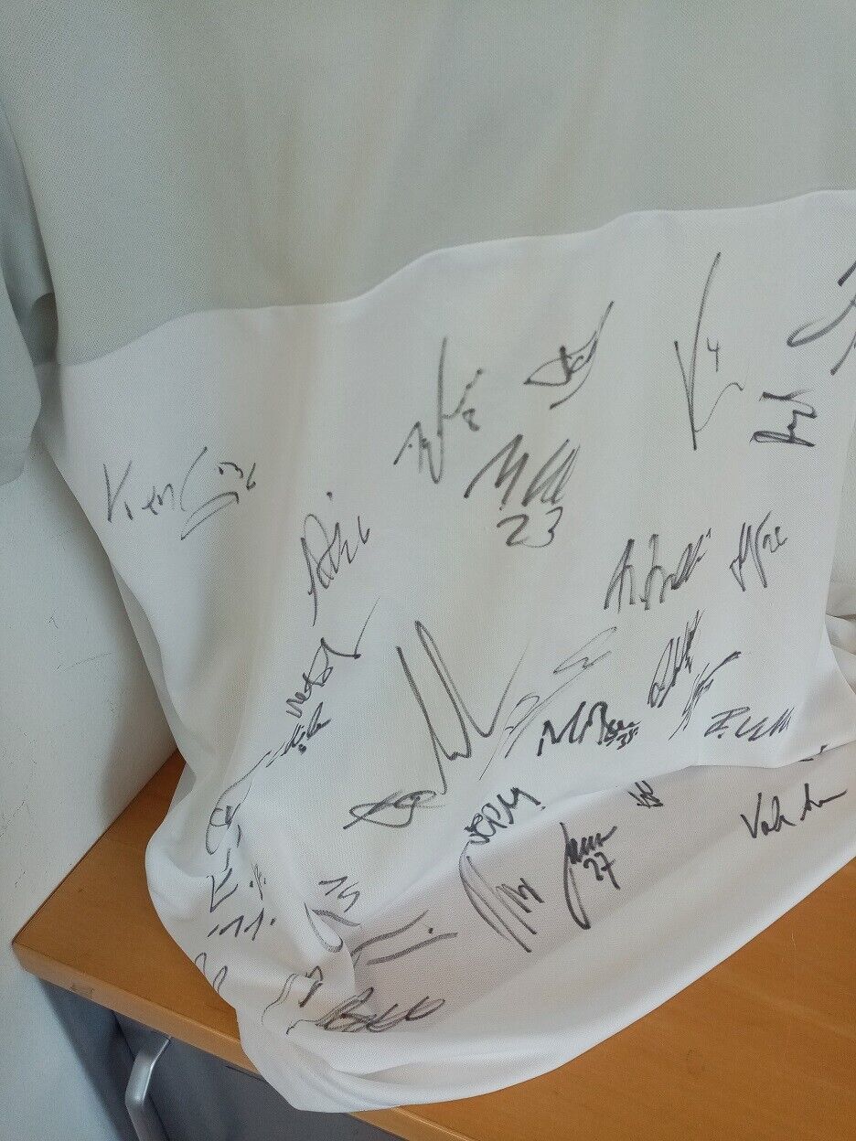 SV Sandhausen Trikot 16/17 Teamsigniert Fußball Autogramm Puma Unterschrift 3XL