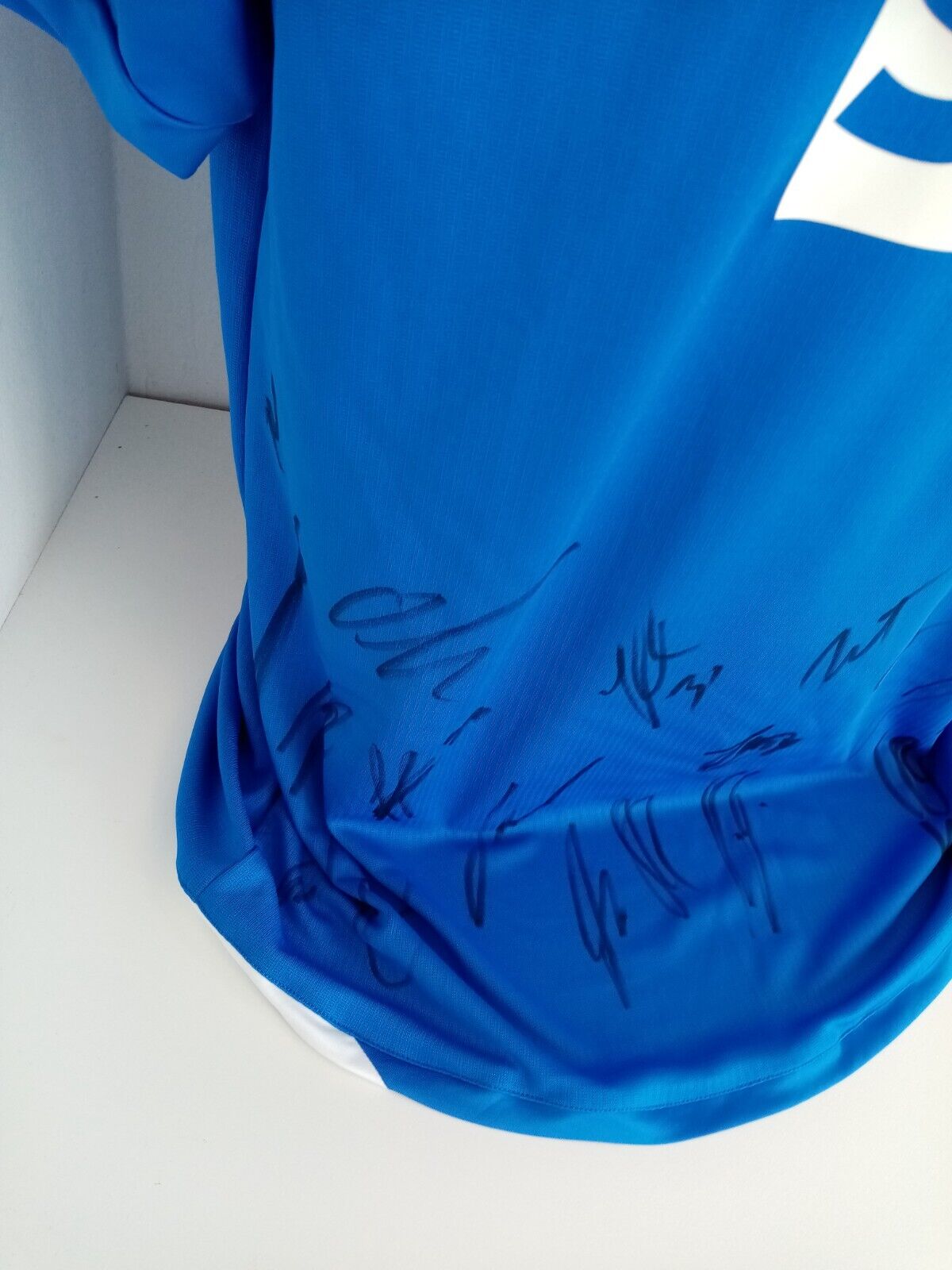 1899 Hoffenheim Trikot 18/19 Teamsigniert Autogramm Fußball Bundesliga Lotto XL