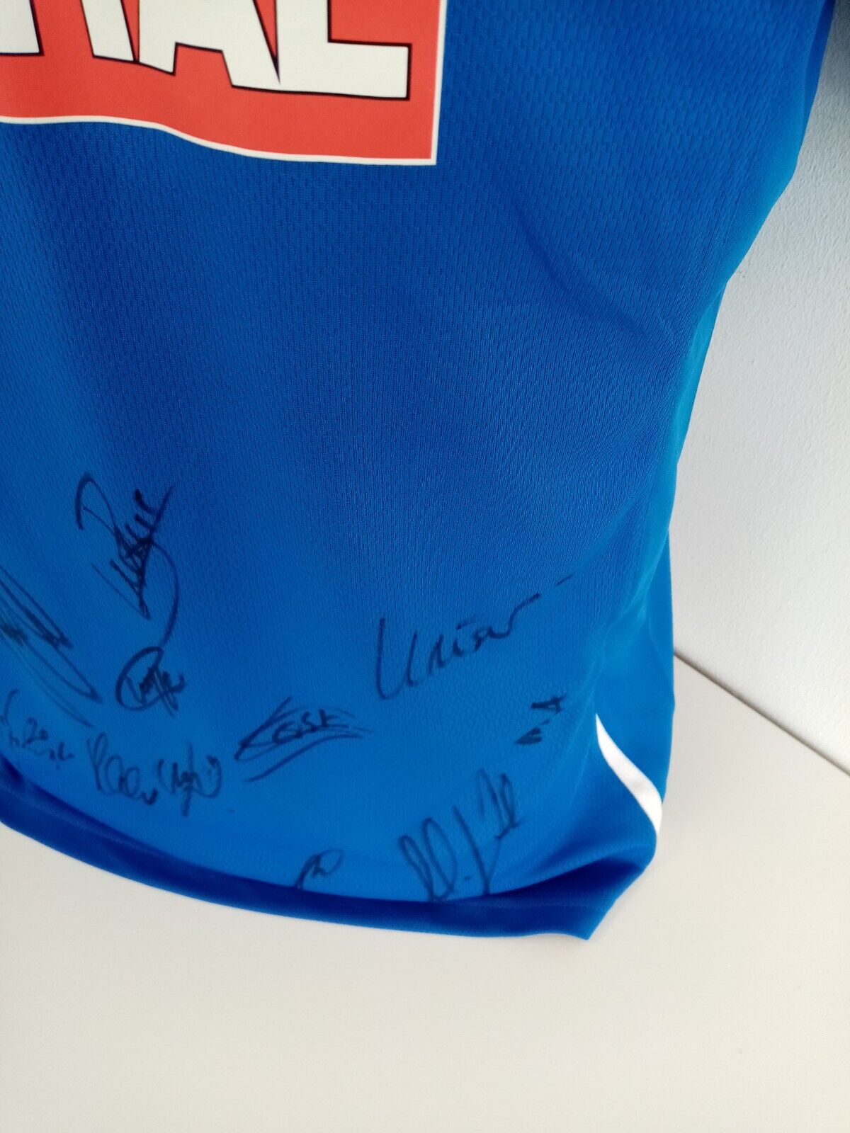 1899 Hoffenheim Trikot 09/10 Teamsigniert Autogramm Fußball Bundesliga Puma 176