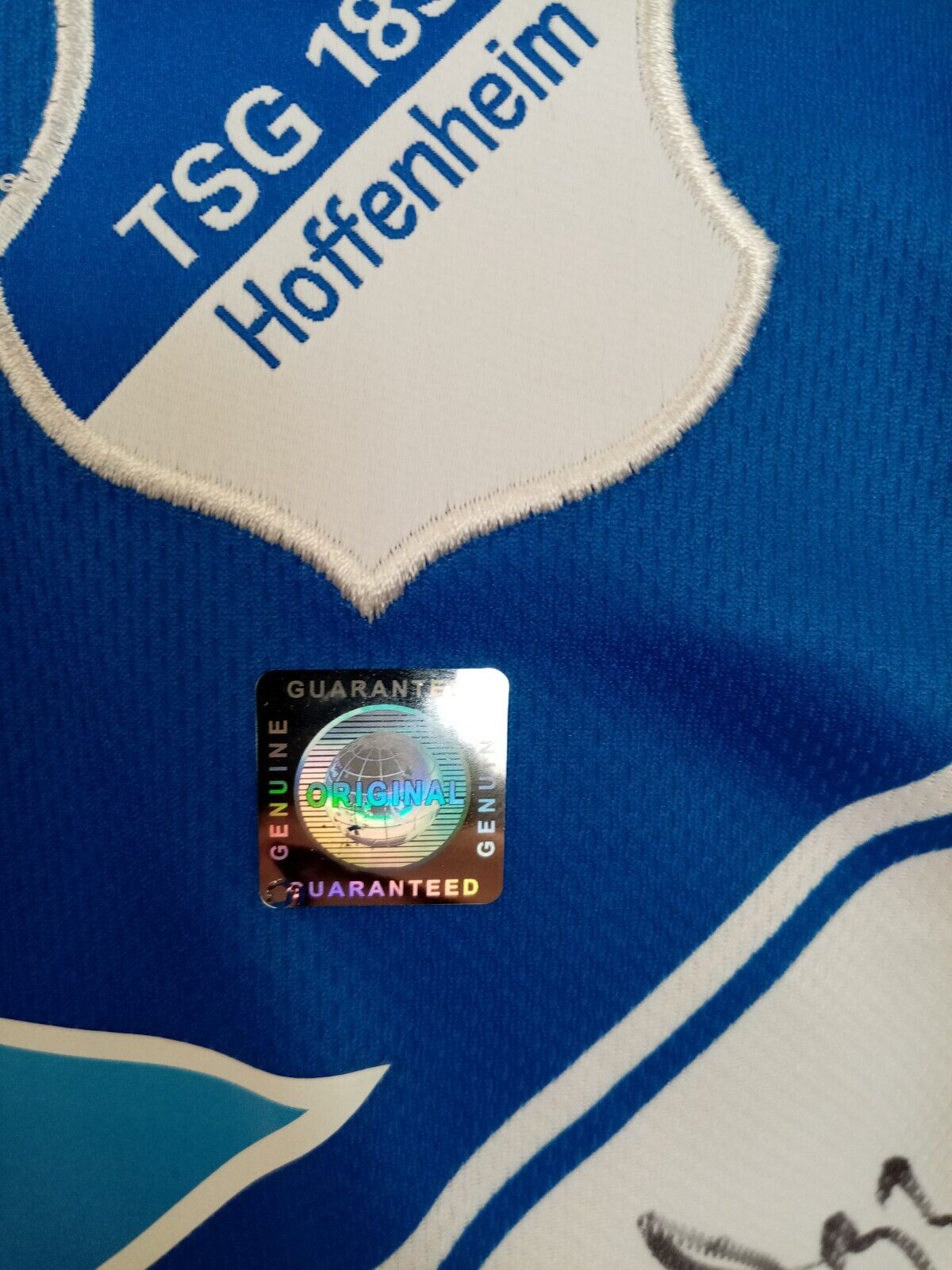 1899 Hoffenheim Trikot 14/15 Teamsigniert Autogramm Fußball Bundesliga Lotto 164