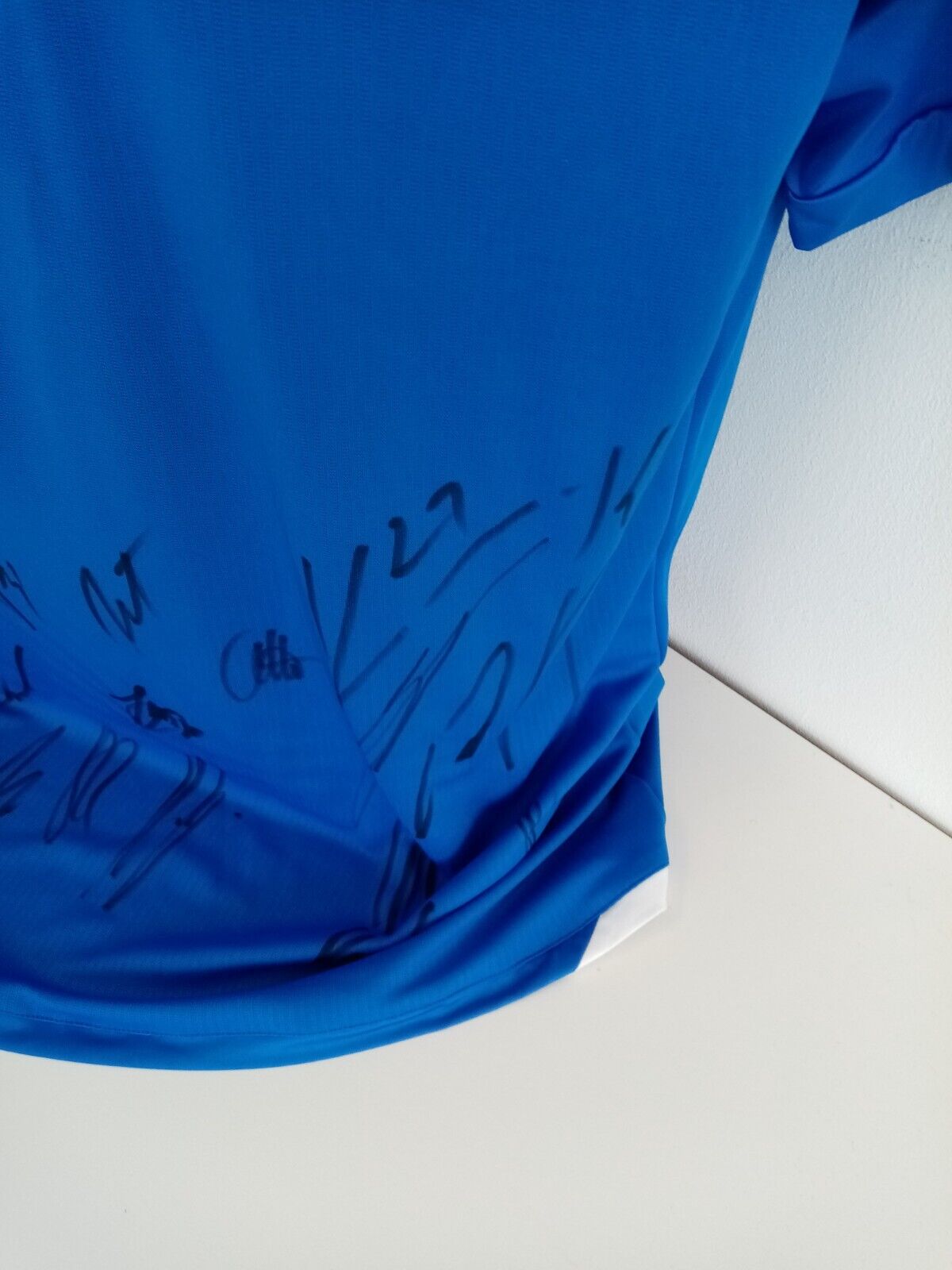 1899 Hoffenheim Trikot 18/19 Teamsigniert Autogramm Fußball Bundesliga Lotto XL