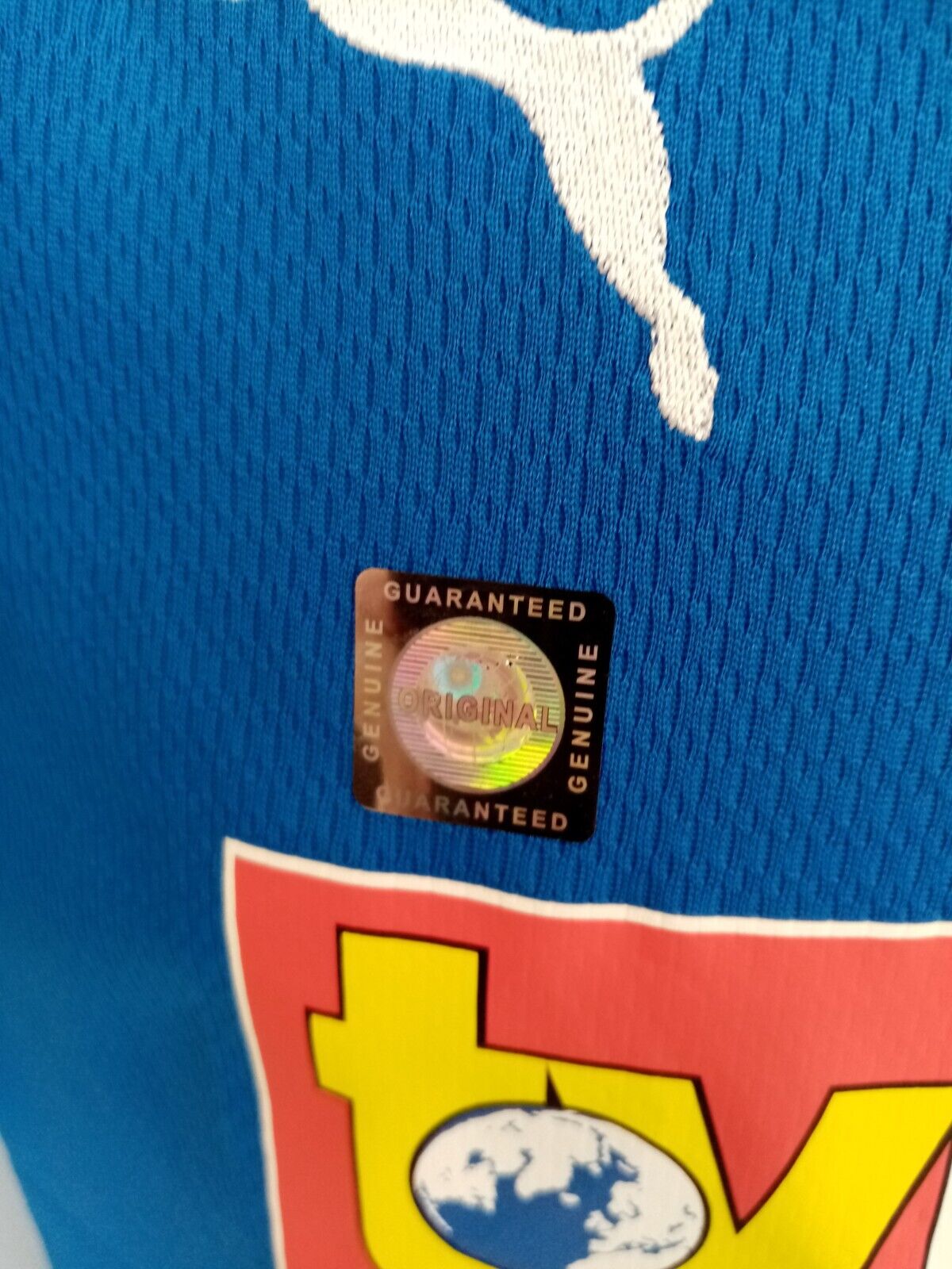 1899 Hoffenheim Trikot 09/10 Teamsigniert Autogramm Fußball Bundesliga Puma 176