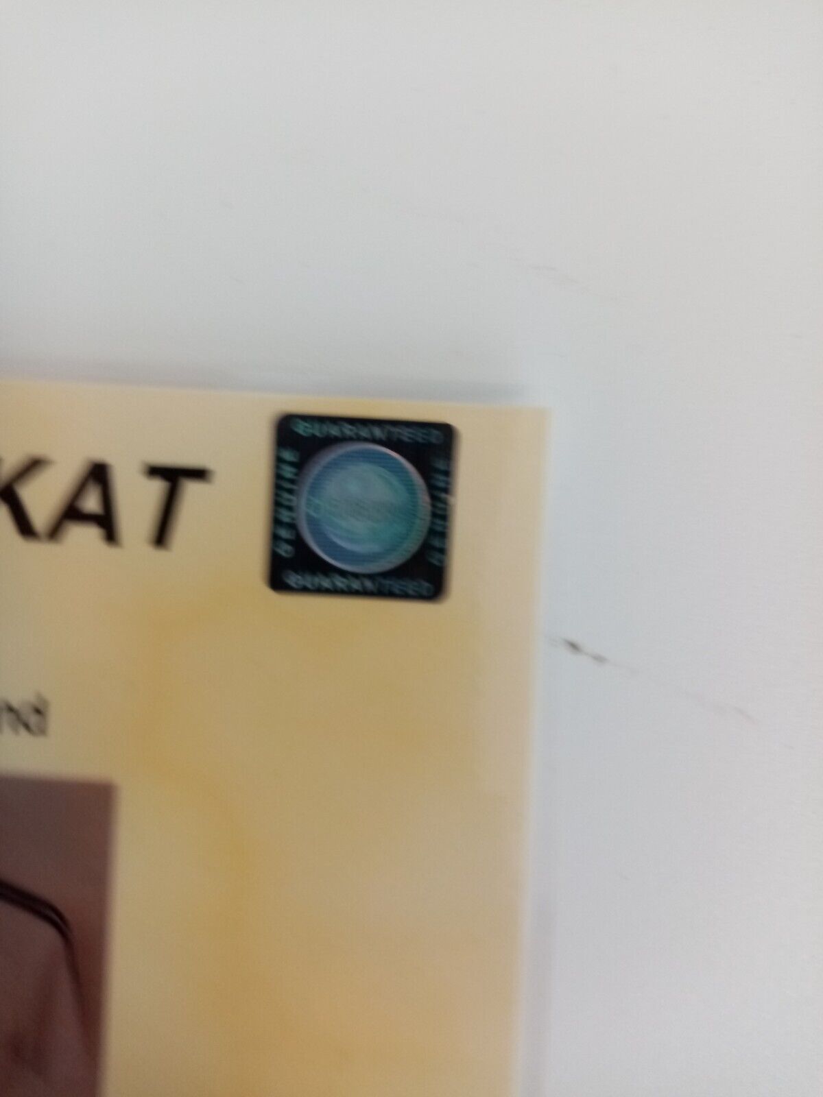 Deutschland Trikot Timo Hildebrand signiert DFB Unterschrift Adidas Autogramm M