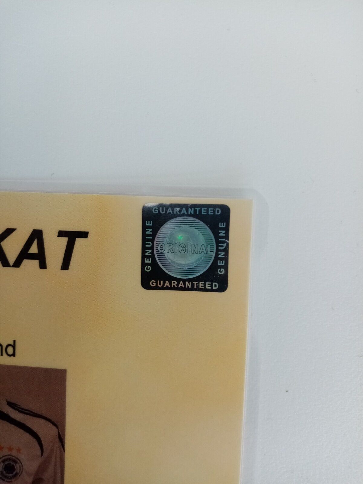 Deutschland Trikot Roberto Hilbert signiert DFB Autogramm Fußball Adidas 176