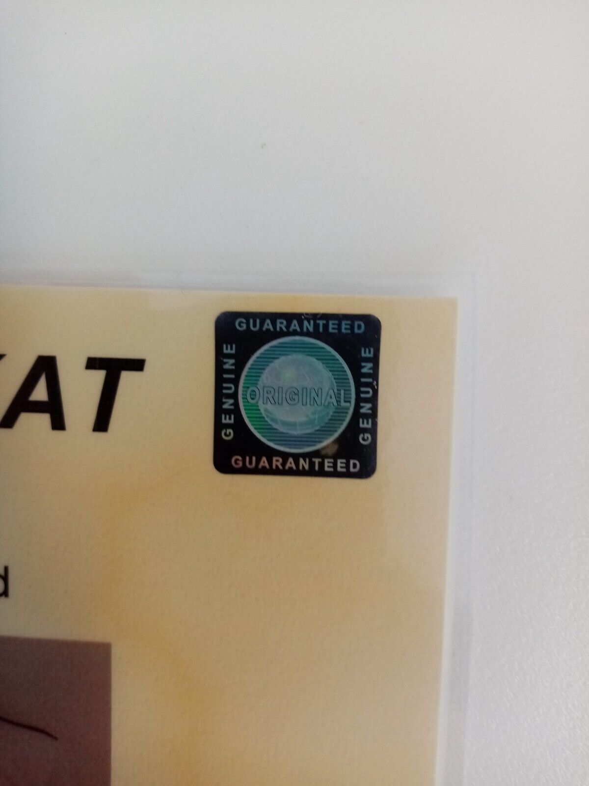 Deutschland Trikot Christian Träsch signiert Adidas Unterschrift DFB Fußball L