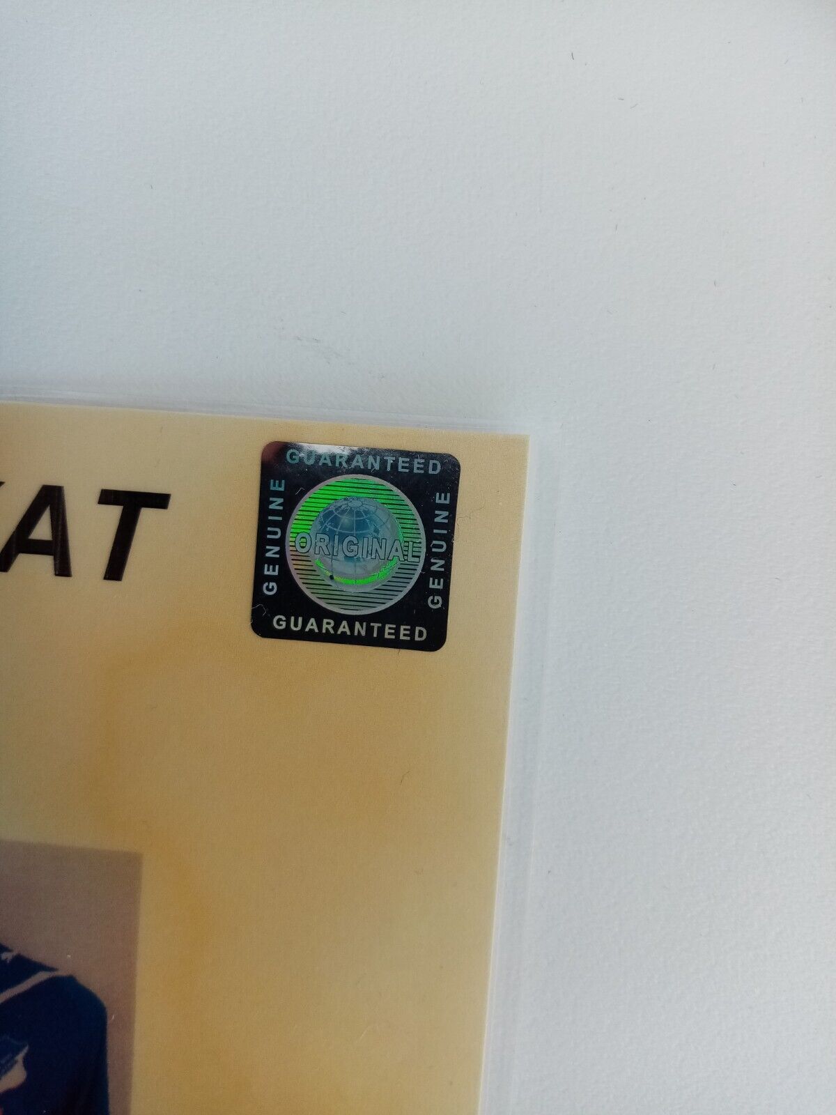 1899 Hoffenheim jersey 09/10 team signed autograph football bundesliga puma 176