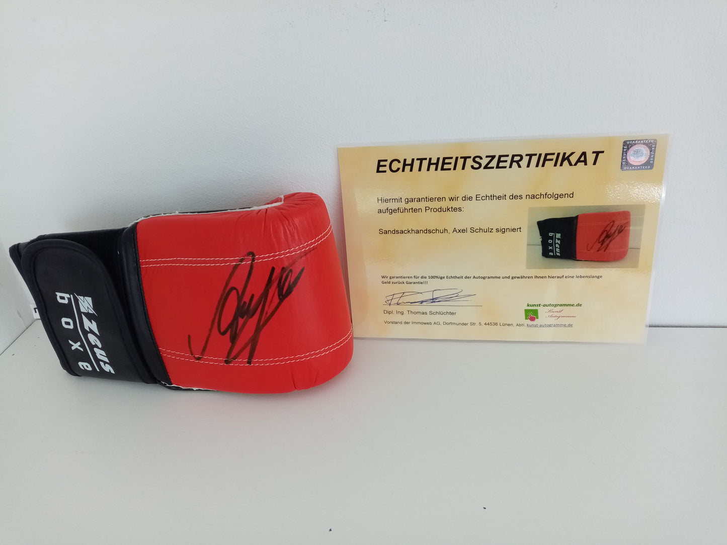 Sandsackhandschuh Axel Schulz signiert Autogramm Unterschrift Boxen Neu COA