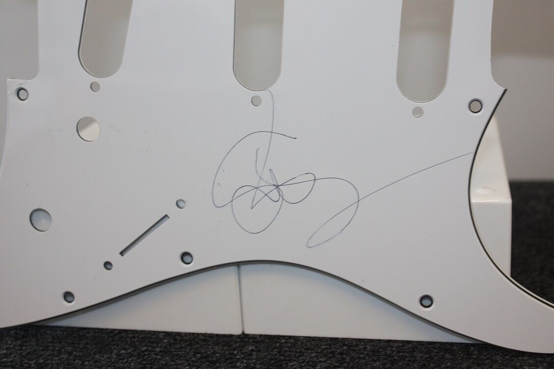 Guitar plate, Susan Sarandon signed, new, film, actress, autograph