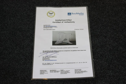 Gitarrenplatte, Colin Farrell signiert, Film, Fernsehen, Kino, Neu, Autogramm